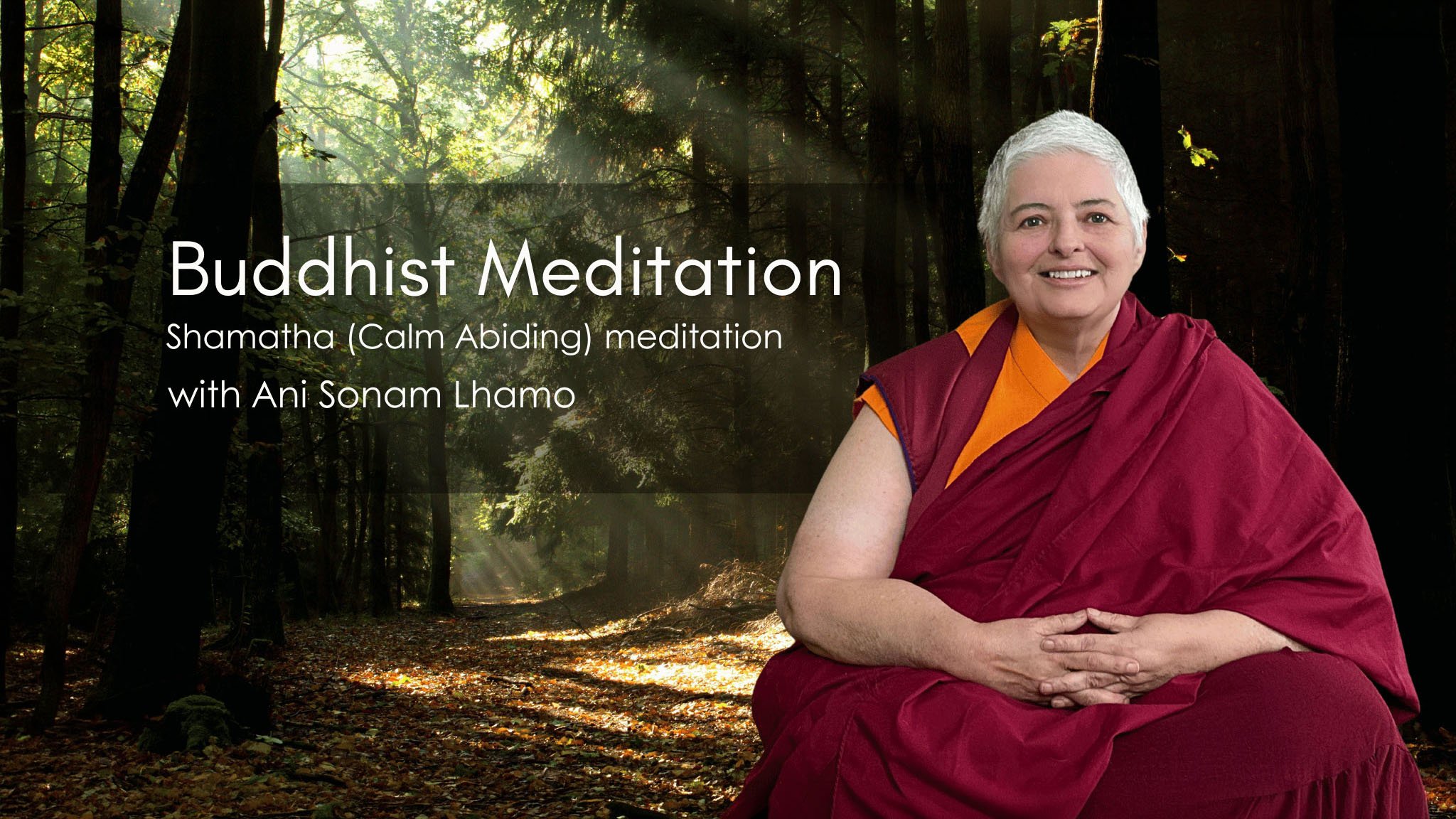 Calm Abiding Meditation (Sundays)