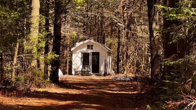 Heartwood  2: Commitment
