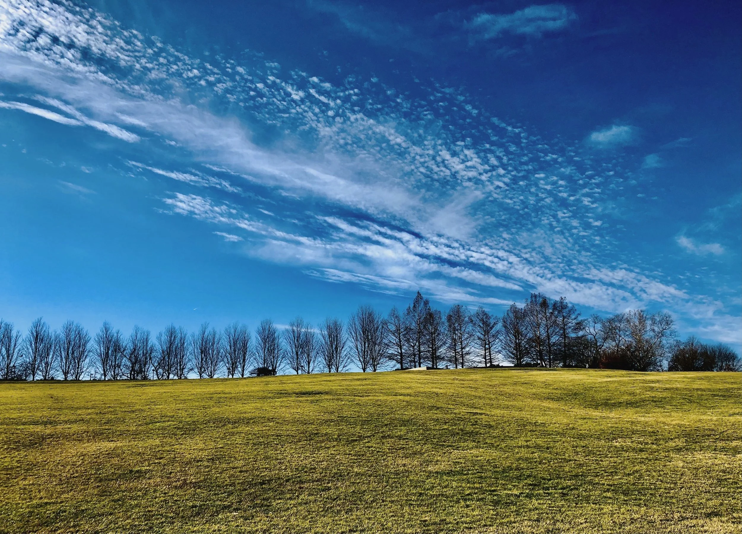 Definitions - Paragraph 1 and 2; Religion - Paragraph 1