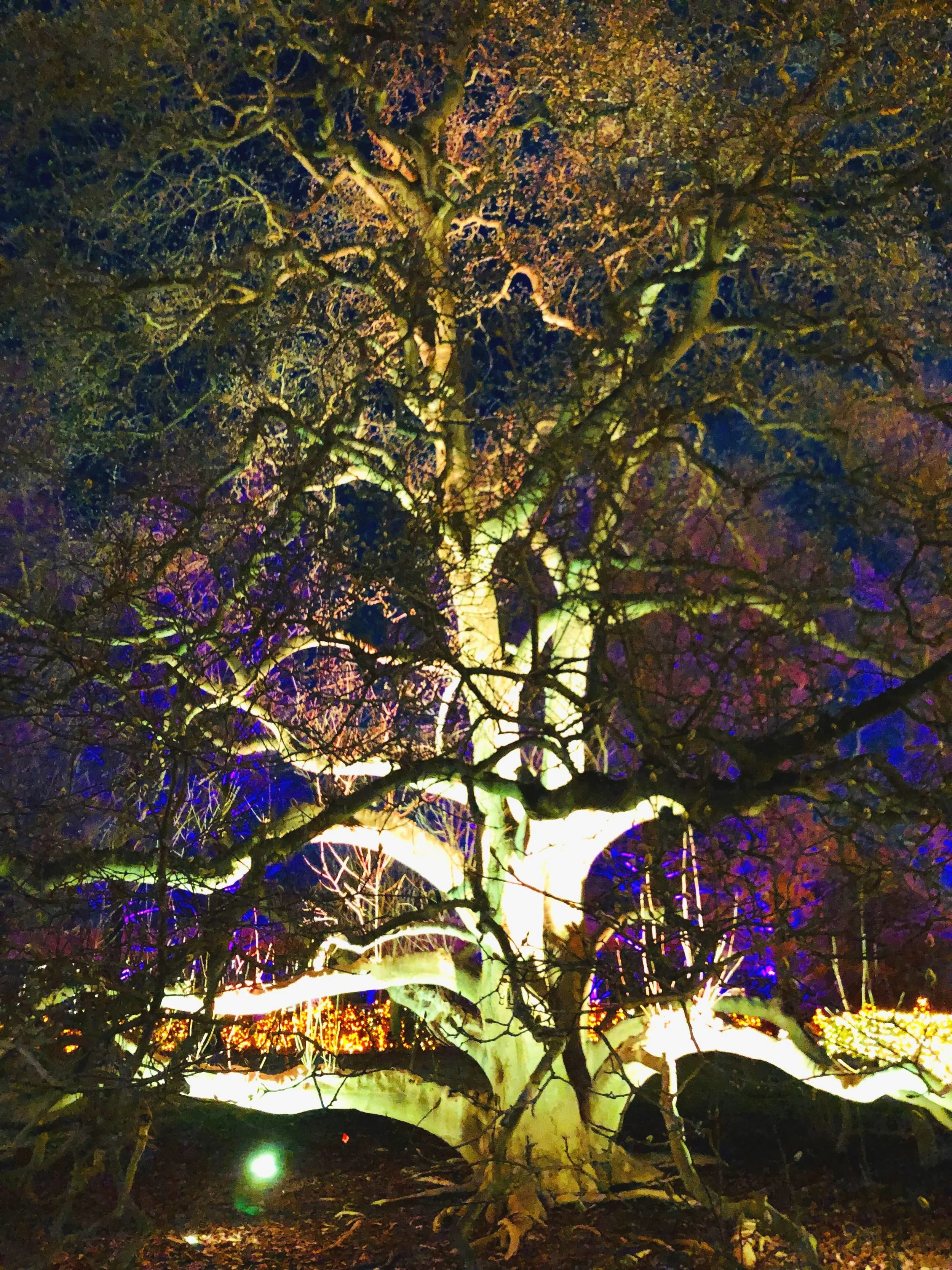 Origin of Thesis - Paragraph 2