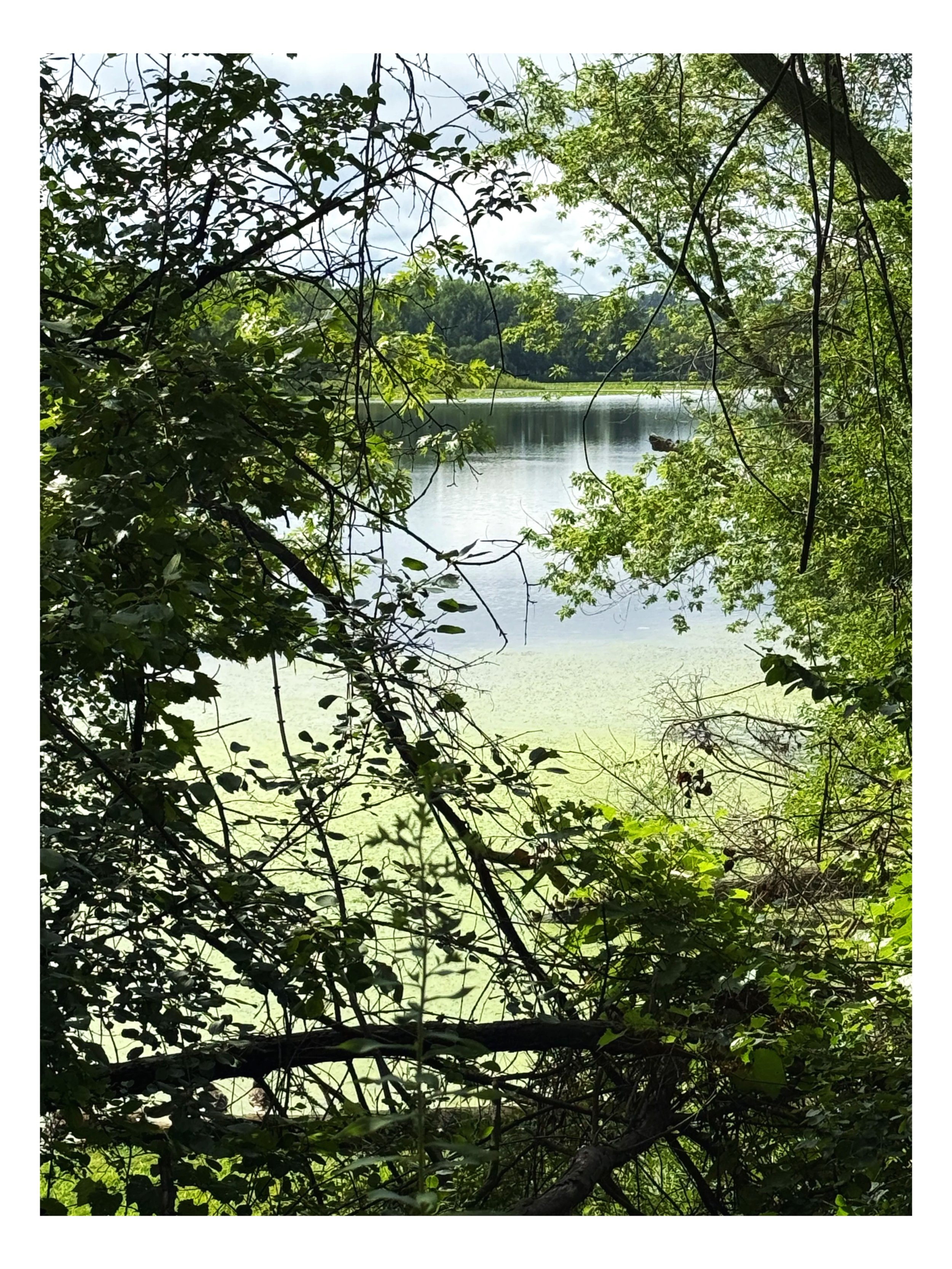 God in Nature - Paragraph 8