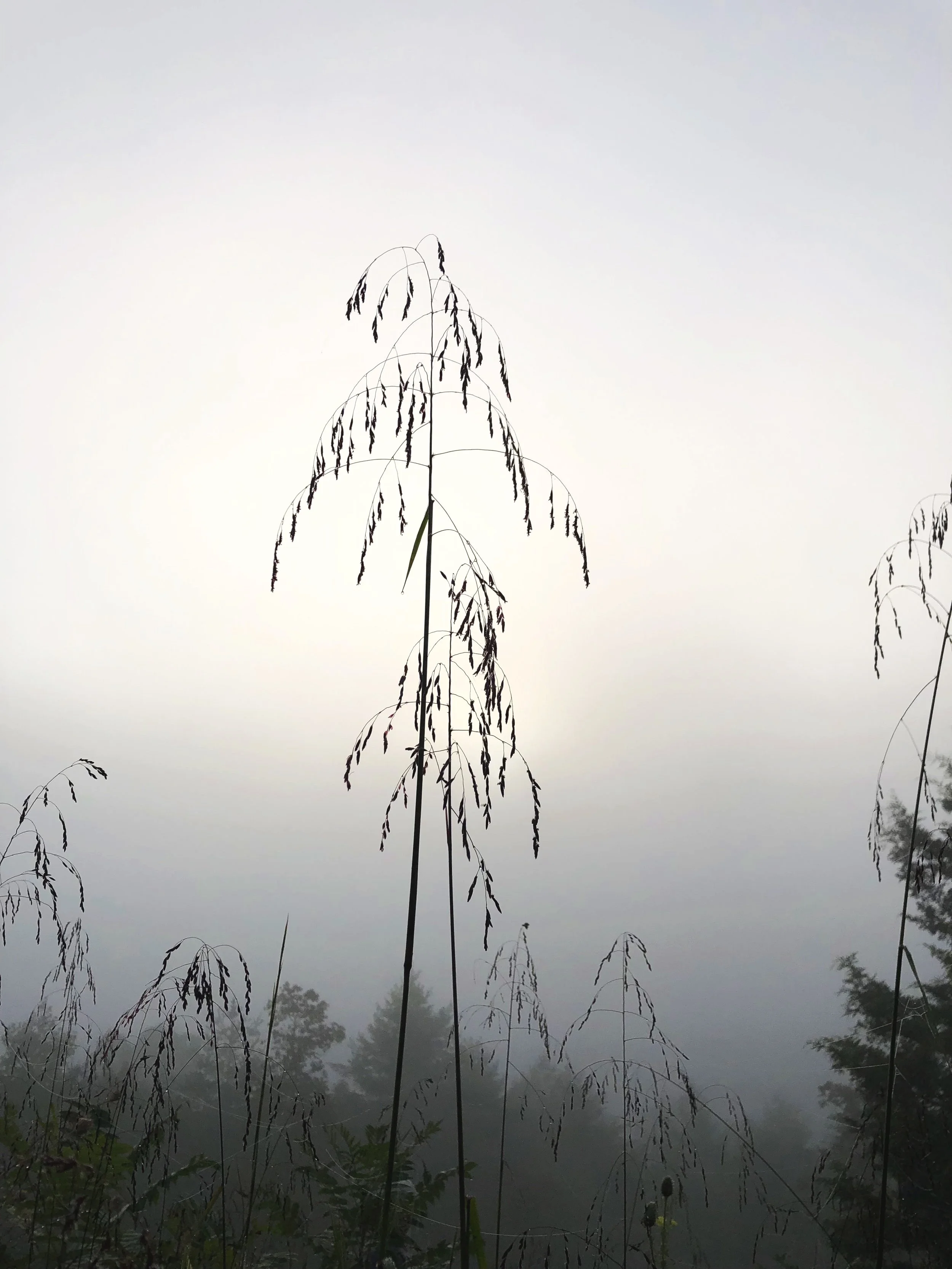 Individual vs. Group - Paragraph 2