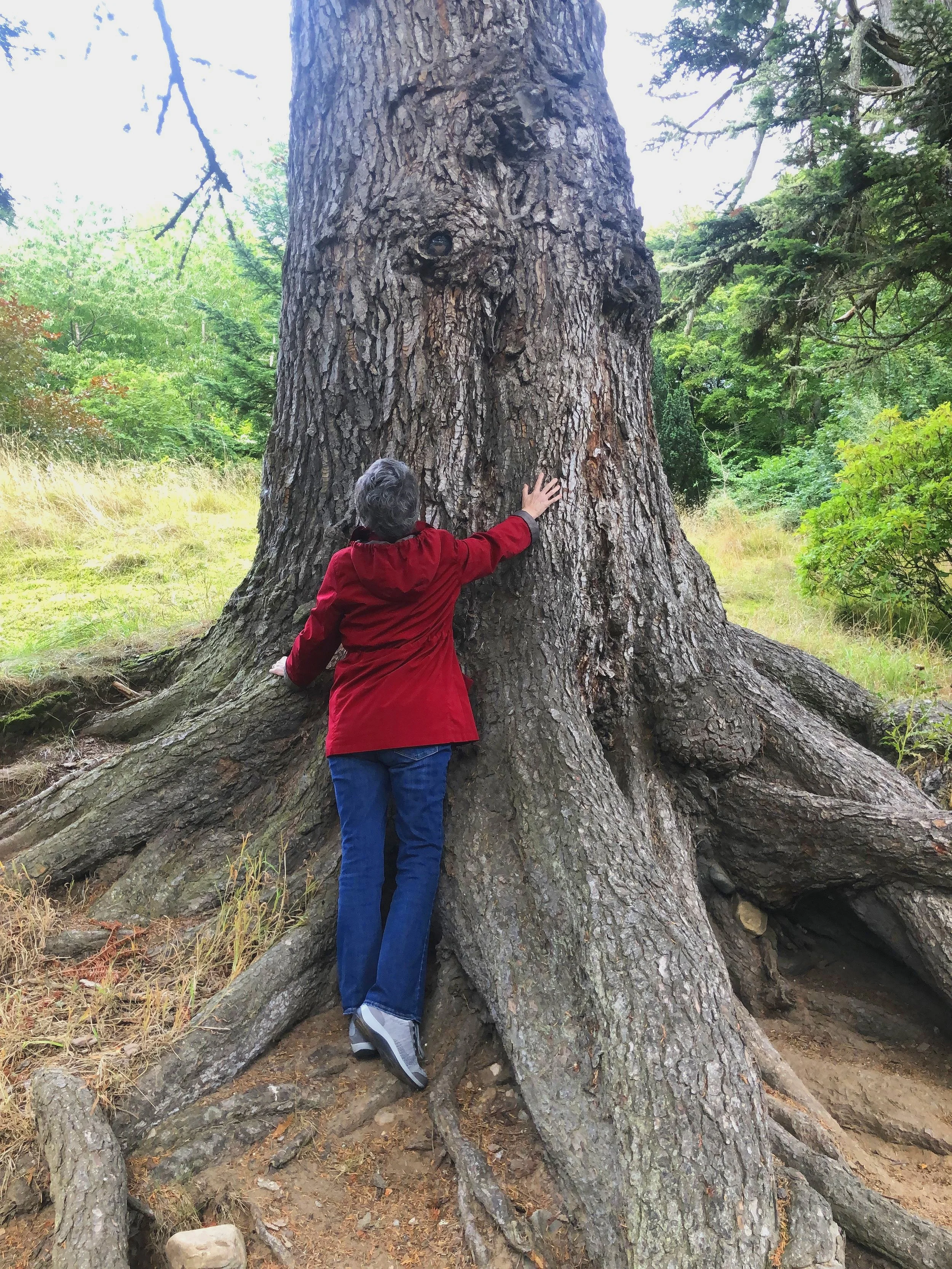 The Nature of Spiritual Development - Paragraphs 1 and 2