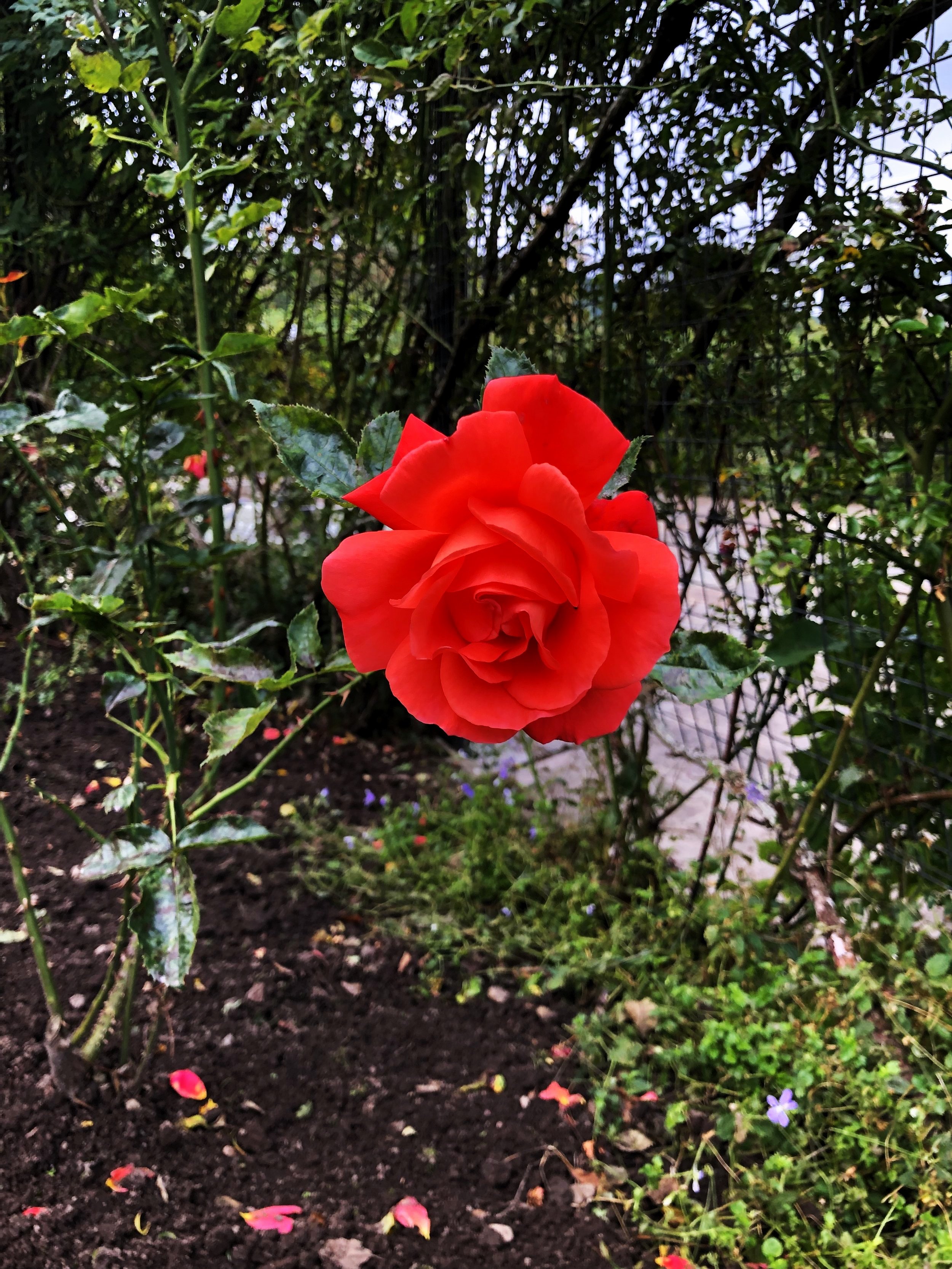 The Nature of Spiritual Development - Paragraphs 5 and 6