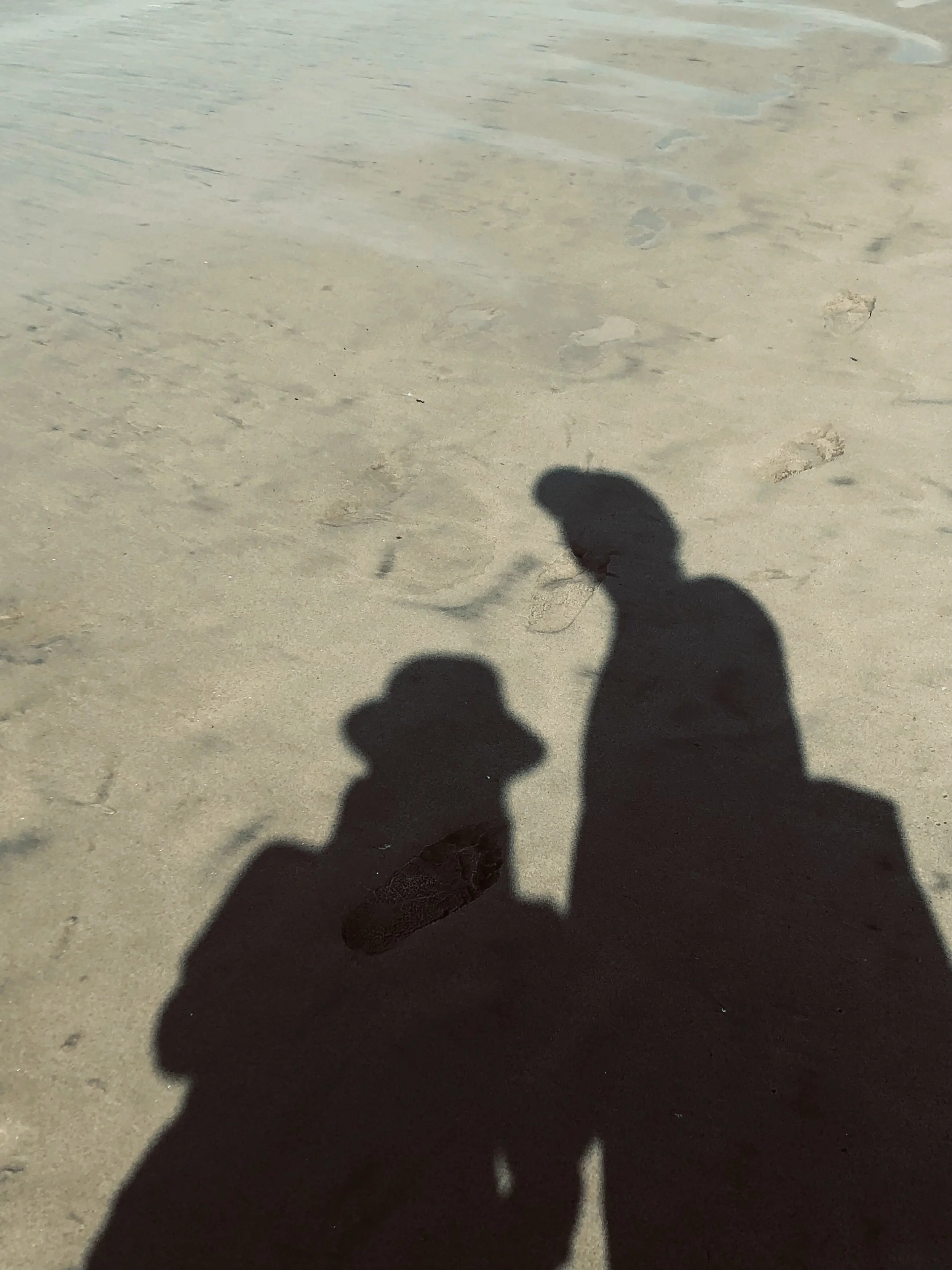 The True Nature of Integration - Paragraphs 6 and 7