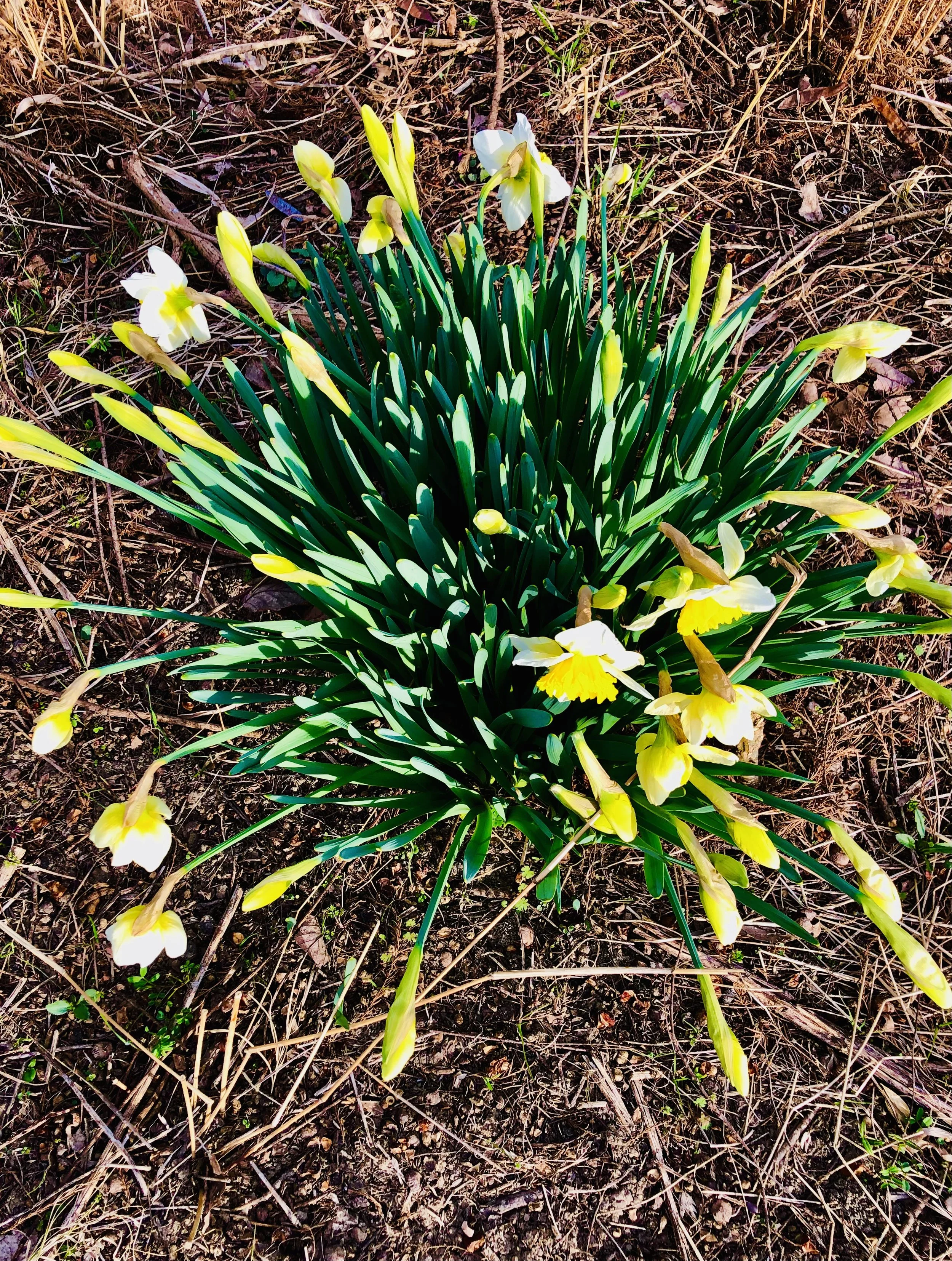 Three Variables Inherent in the Journey - Paragraph 1