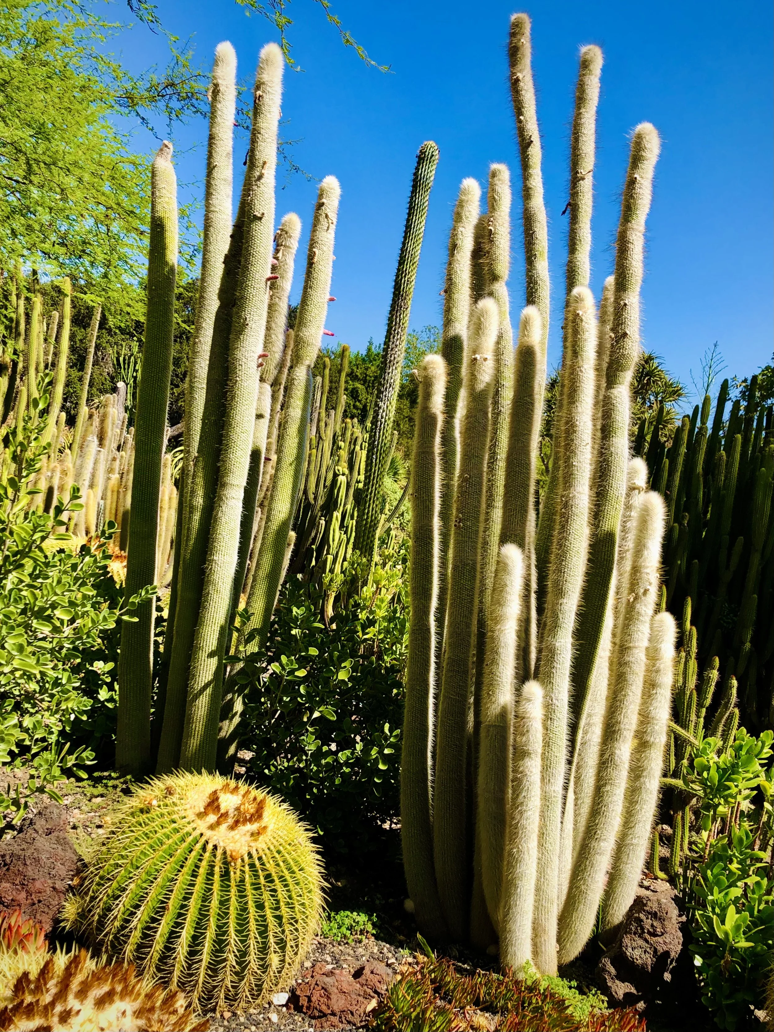 Three Variables Inherent in the Journey - Paragraph 2 and 3