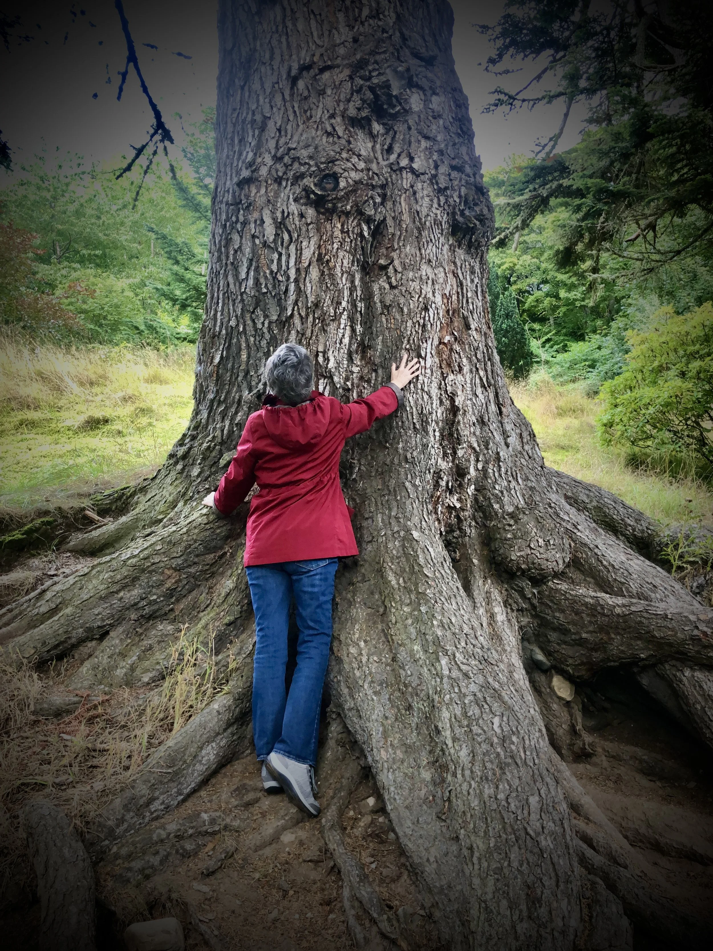 Three Variables Inherent in the Journey - Paragraphs 6, 7, and 8