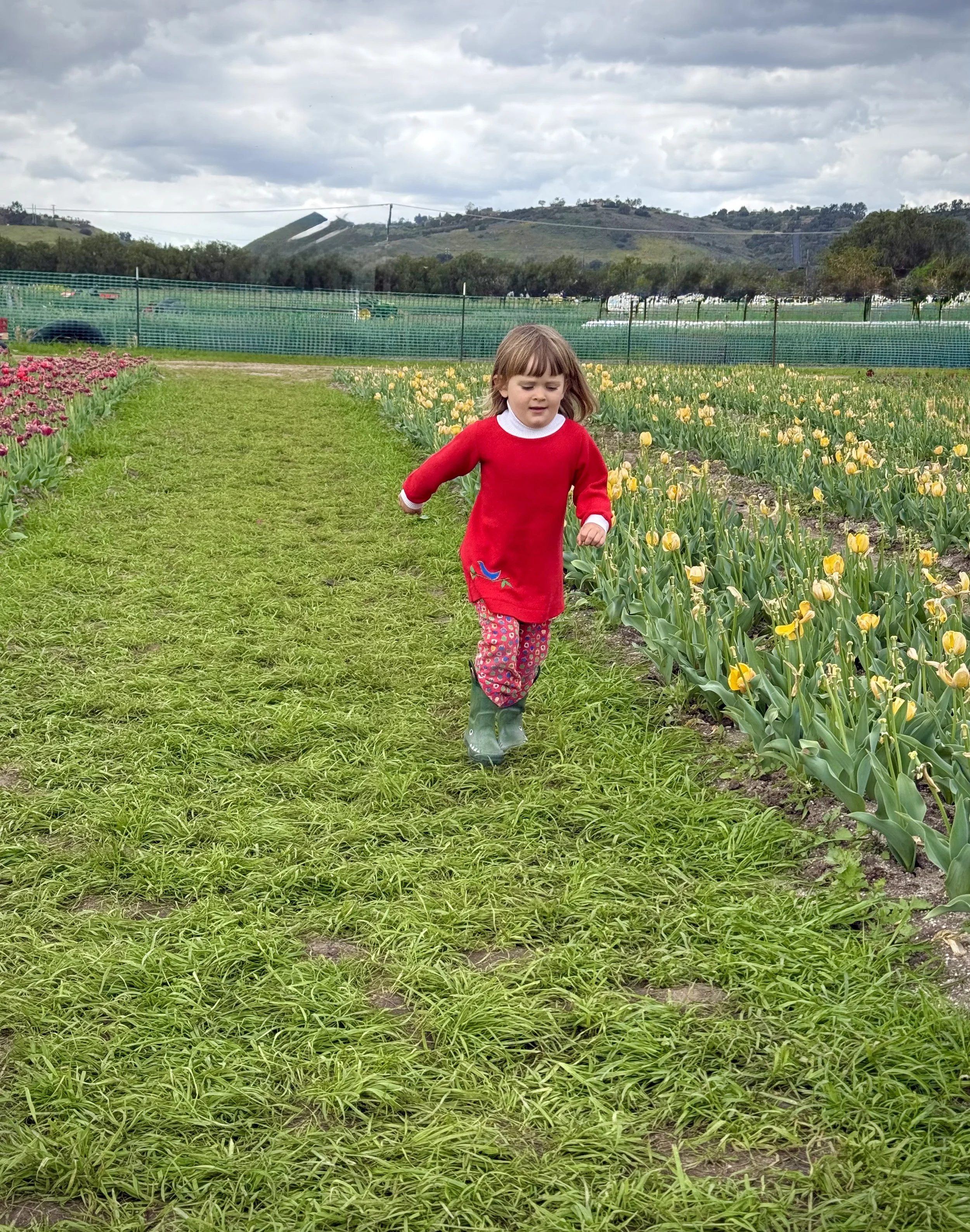 Still Experimenting: The Part of Me That Won’t Land