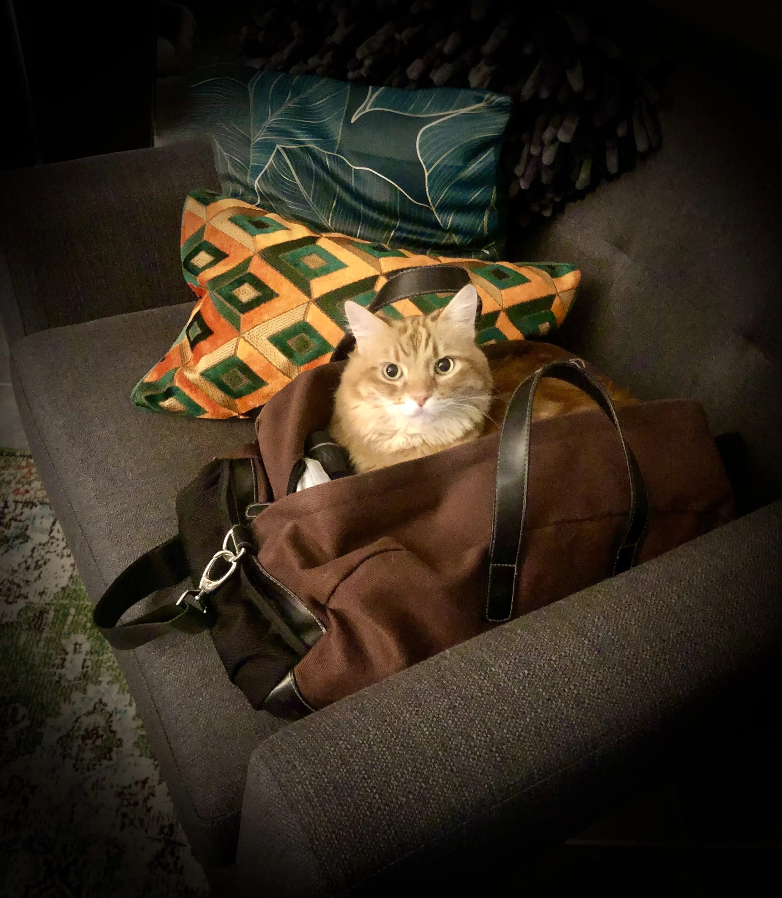 The Body Knows Before You Do