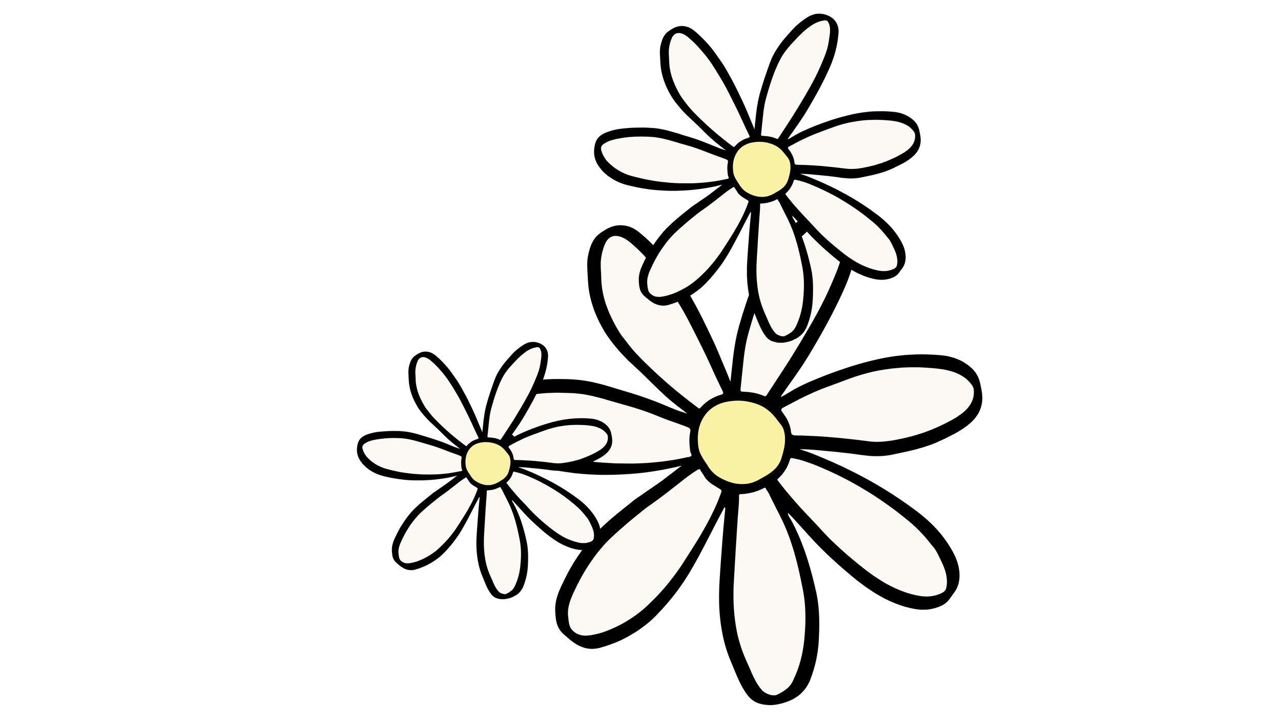 Three white daisies showing growth that occurs with individual, small group, family and parenting therapy and support for services offered