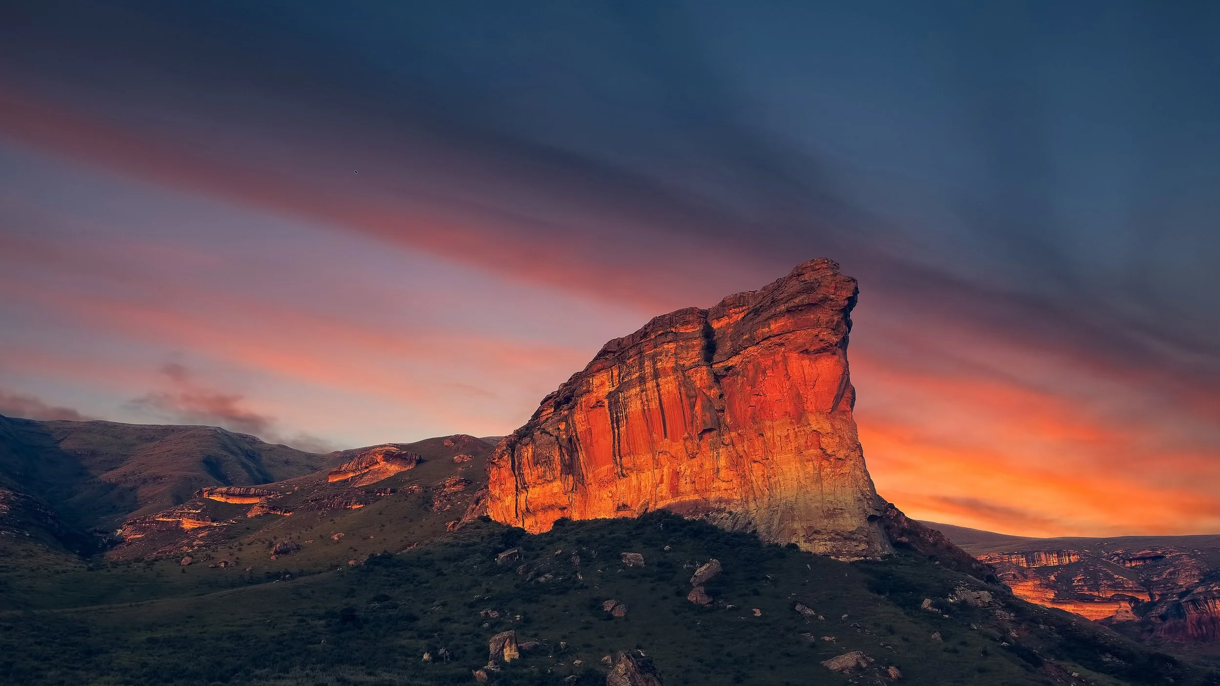 Black Friday Alumni Single Occupancy