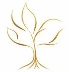 Dharma Yoga Loft 