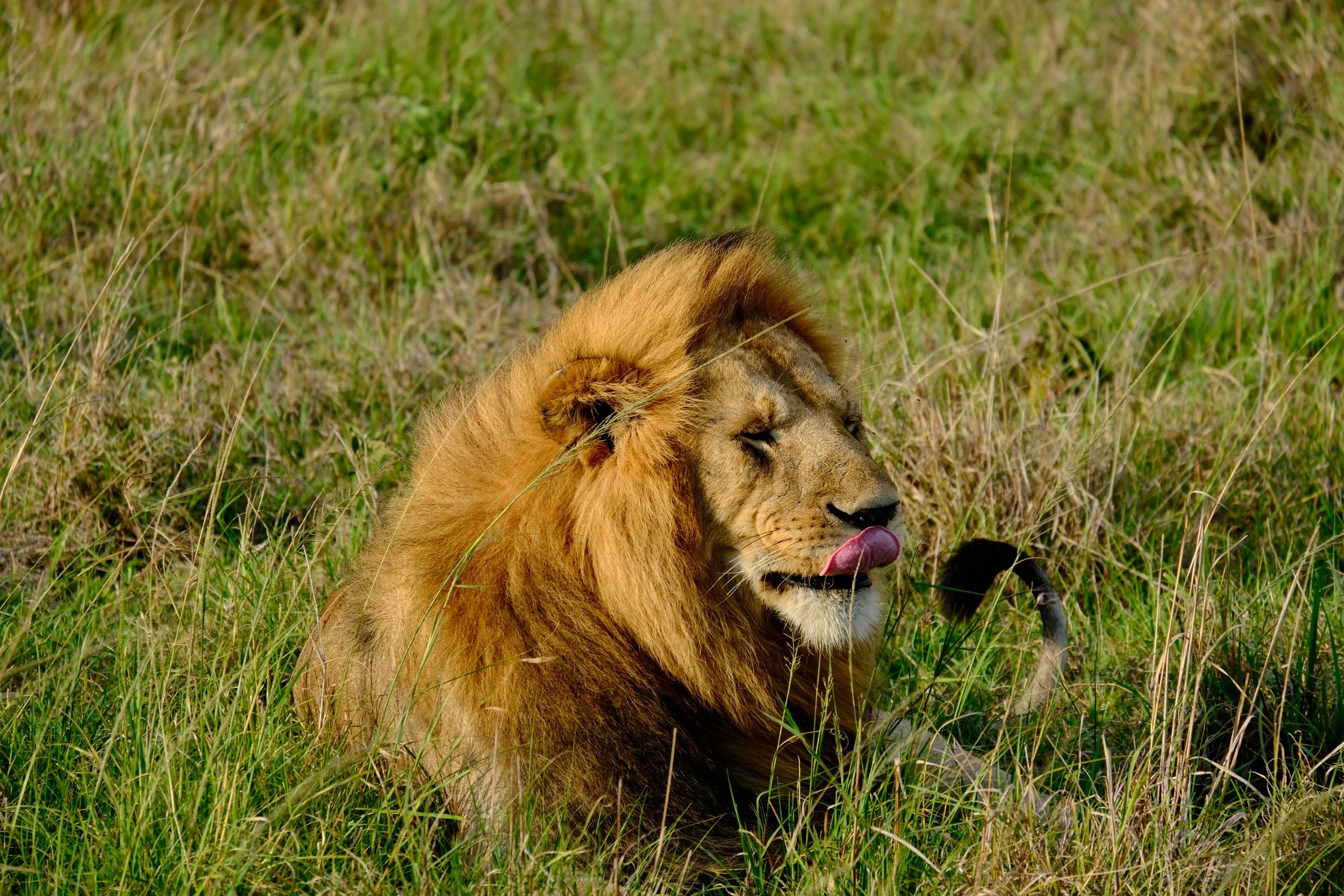 DSCF2918.JPG