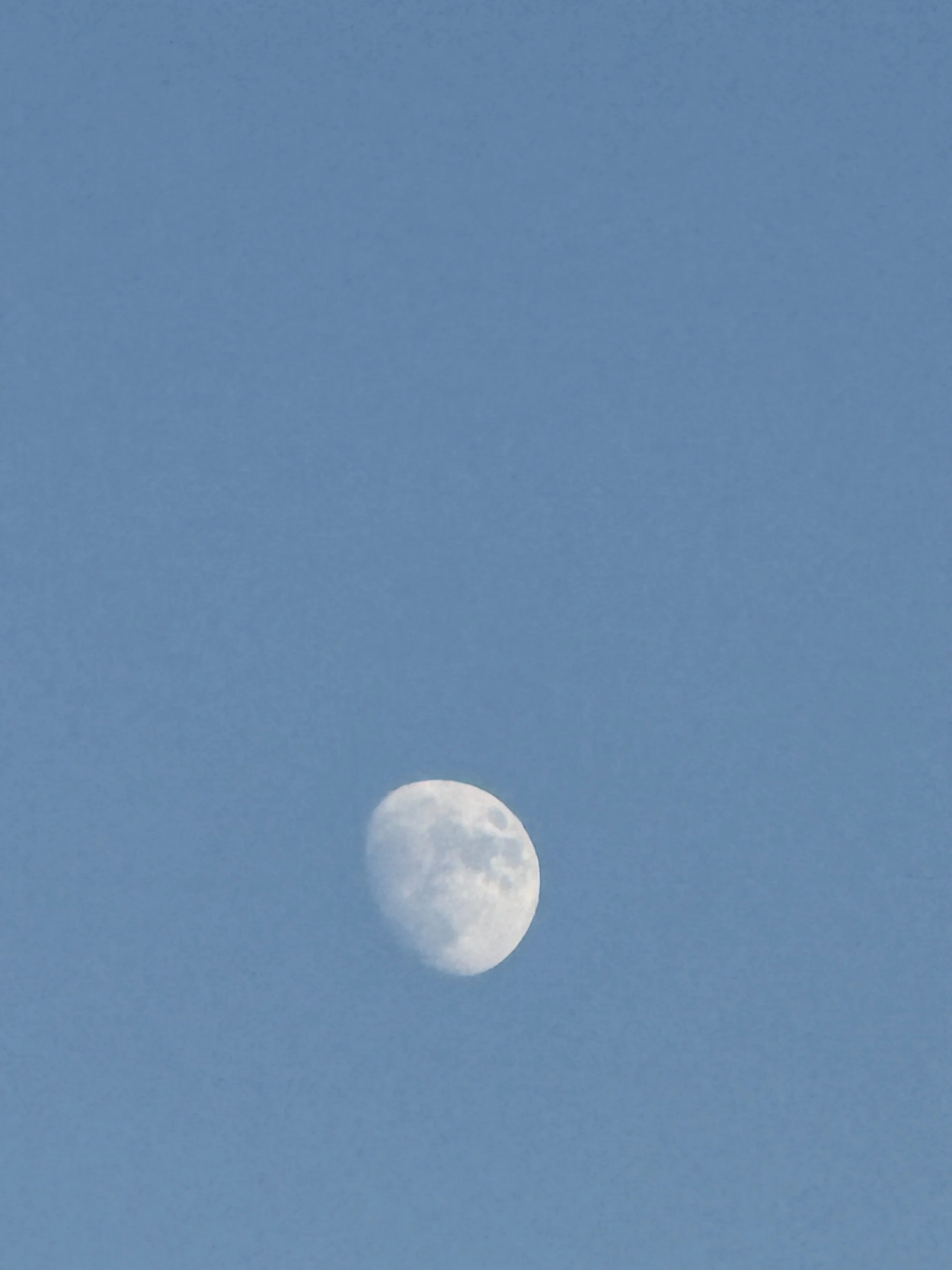 IMG_0218.jpeg