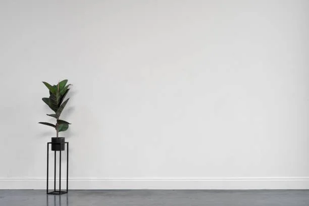 A potted plant with large green leaves on a black stand against a plain white wall.