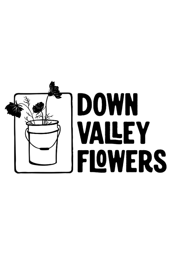 A black and white logo with a potted plant and the text 'Down Valley Flowers'.