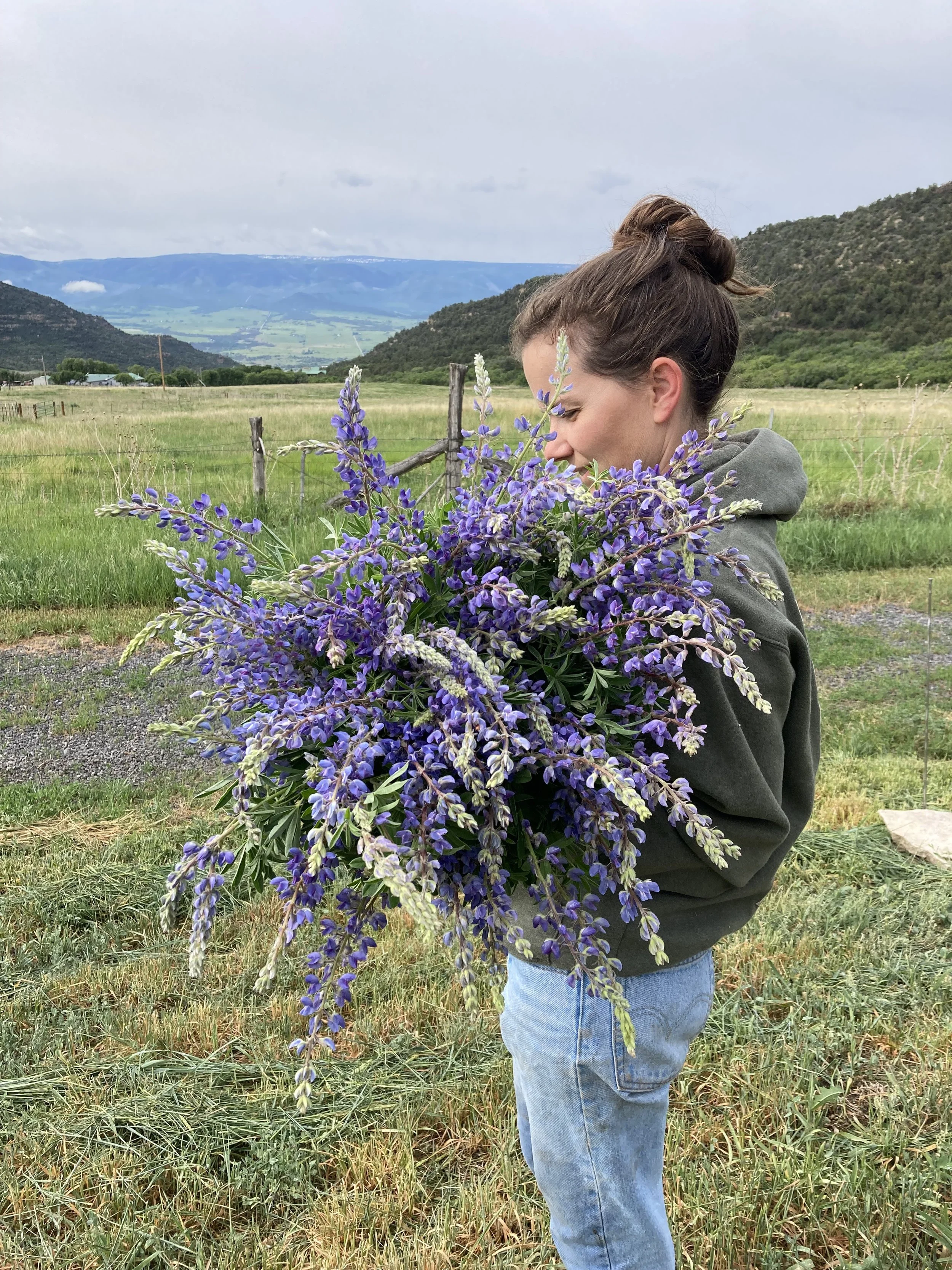 A woman in a gray hoodie and jeans holding a large bouquet of purple flowers in an open field with mountains in the background.