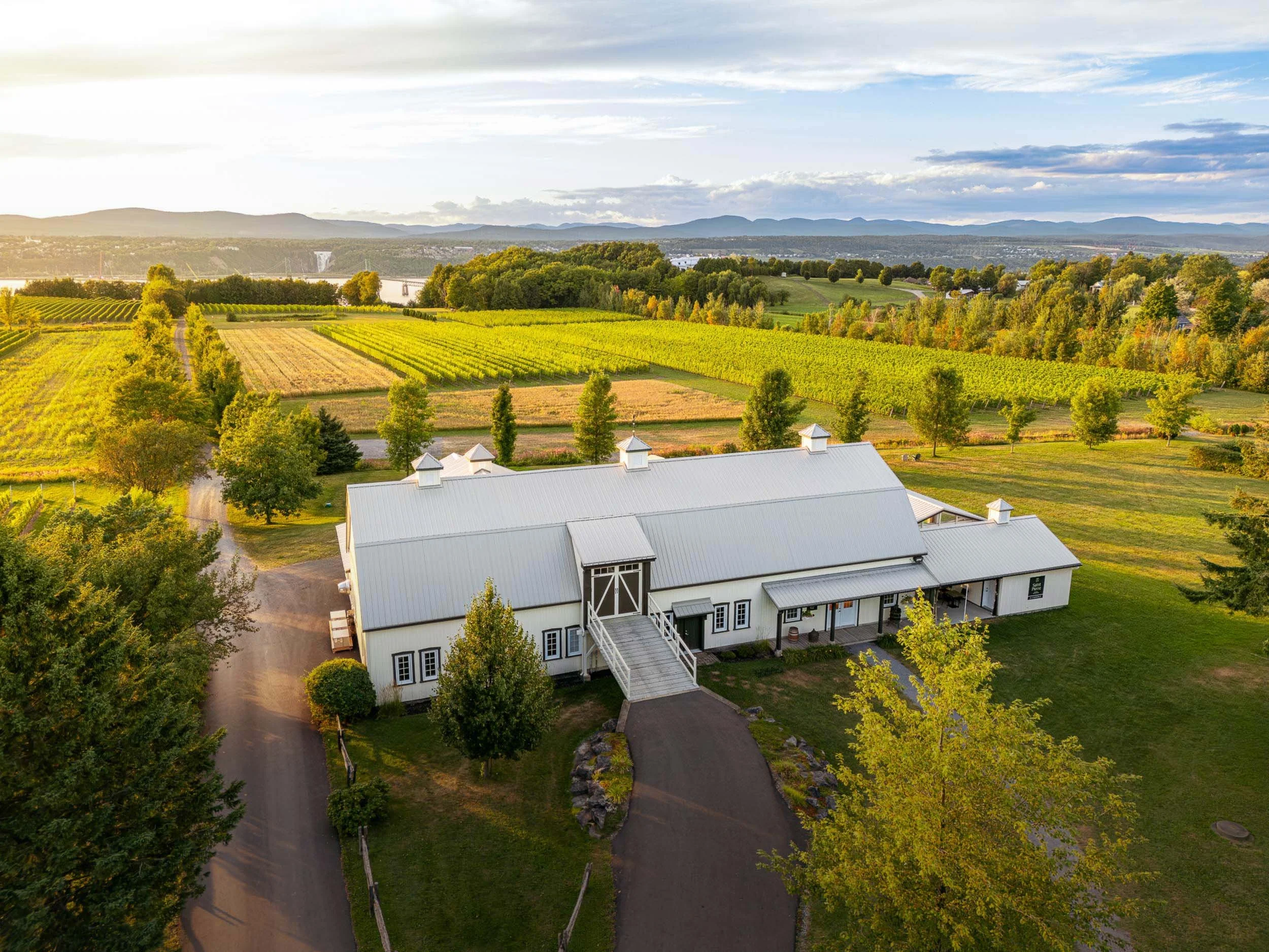 Vue aérienne du bâtiment principal du vignoble avec un toit en métal, entourée de champs de vignes et d'arbres, avec un paysage de montagnes et chutes d'eau au loin.