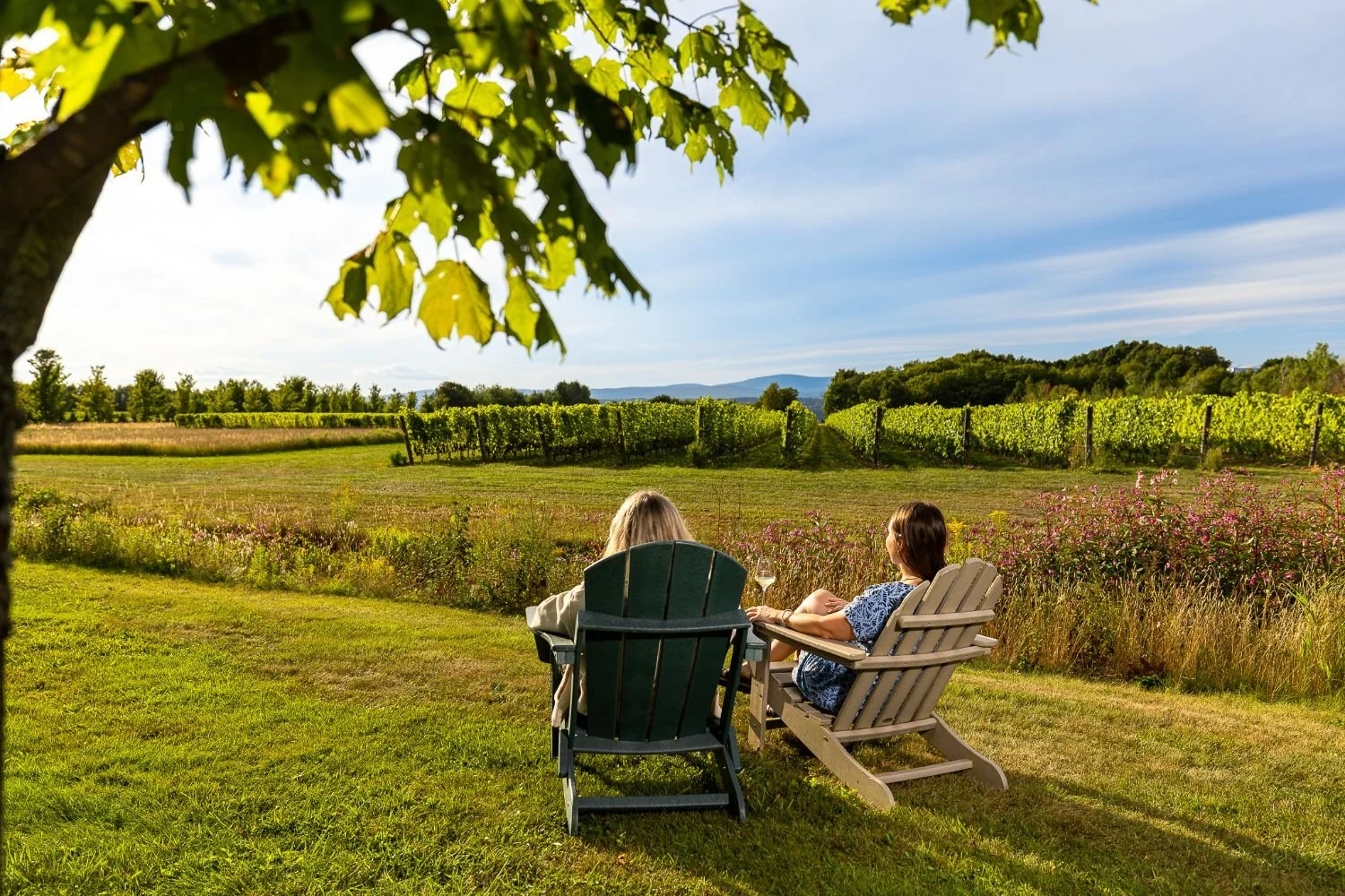 Deux femmes assises sur des chaises en bois qui regardent le paysage et les champs de vignes au loin, avec des feuilles d'arbre au premier plan et un ciel partiellement nuageux.