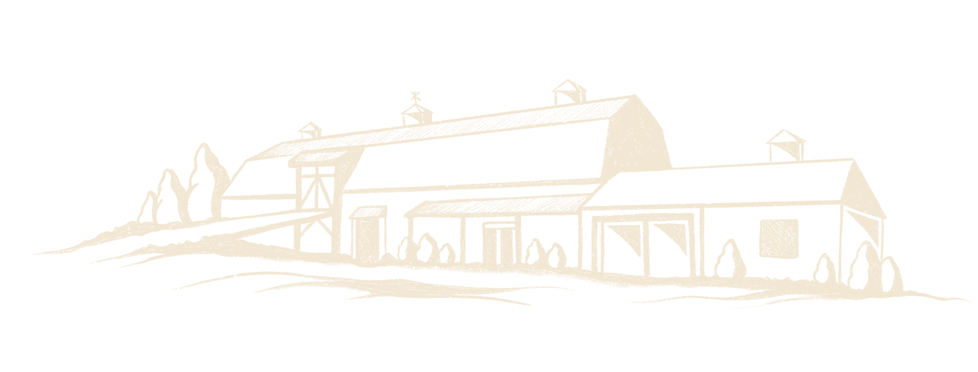 Illustration de couleur crème de la grange au coeur du vignoble, charmante et rustique, entourée de collines et d'arbres.