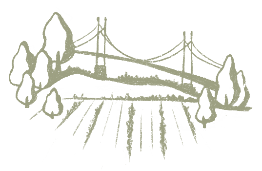 Illustration minimaliste du pont avec la rivière, avec des vignes en premier-plan.