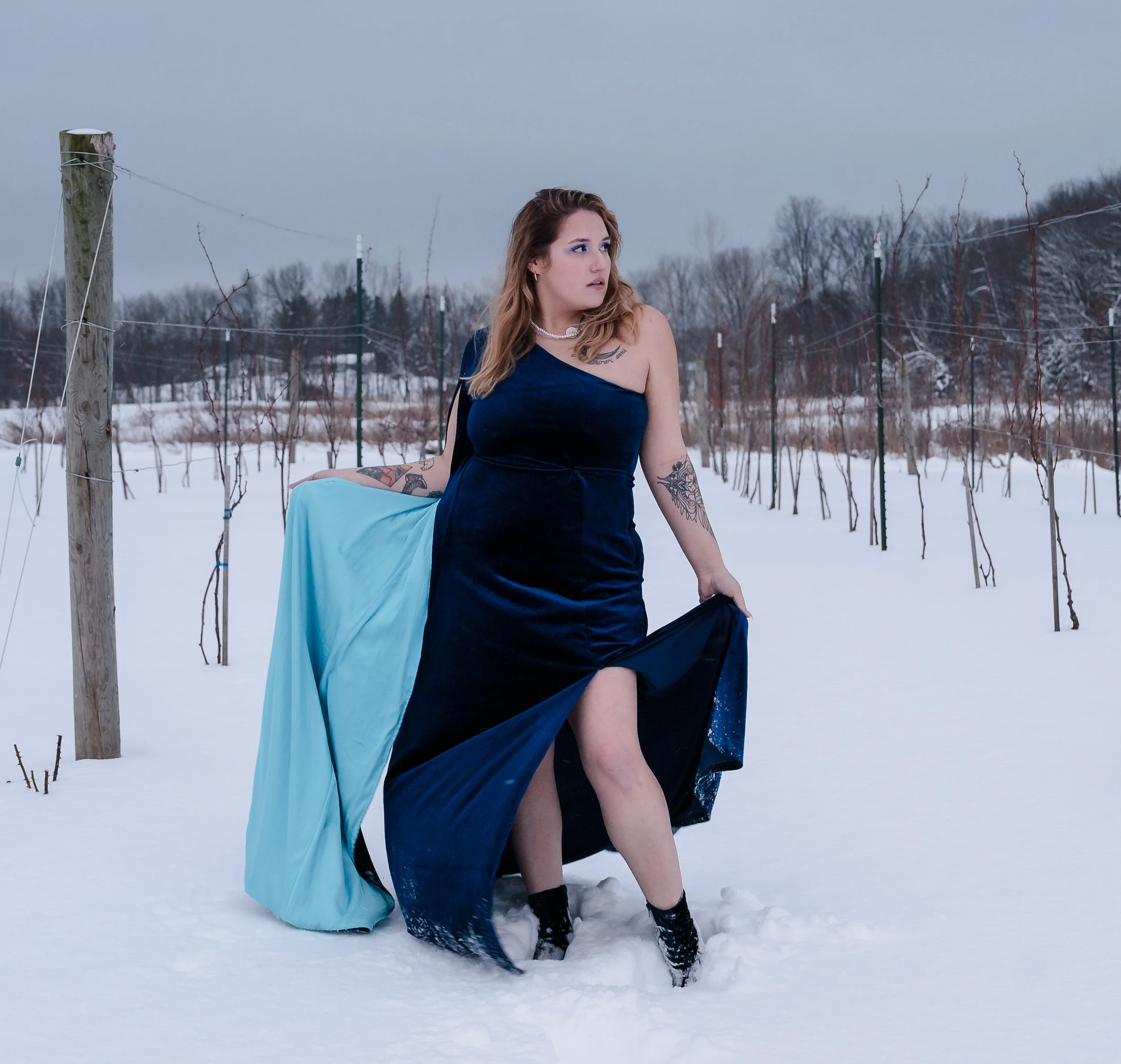 Snowy Boudoir Vineyard