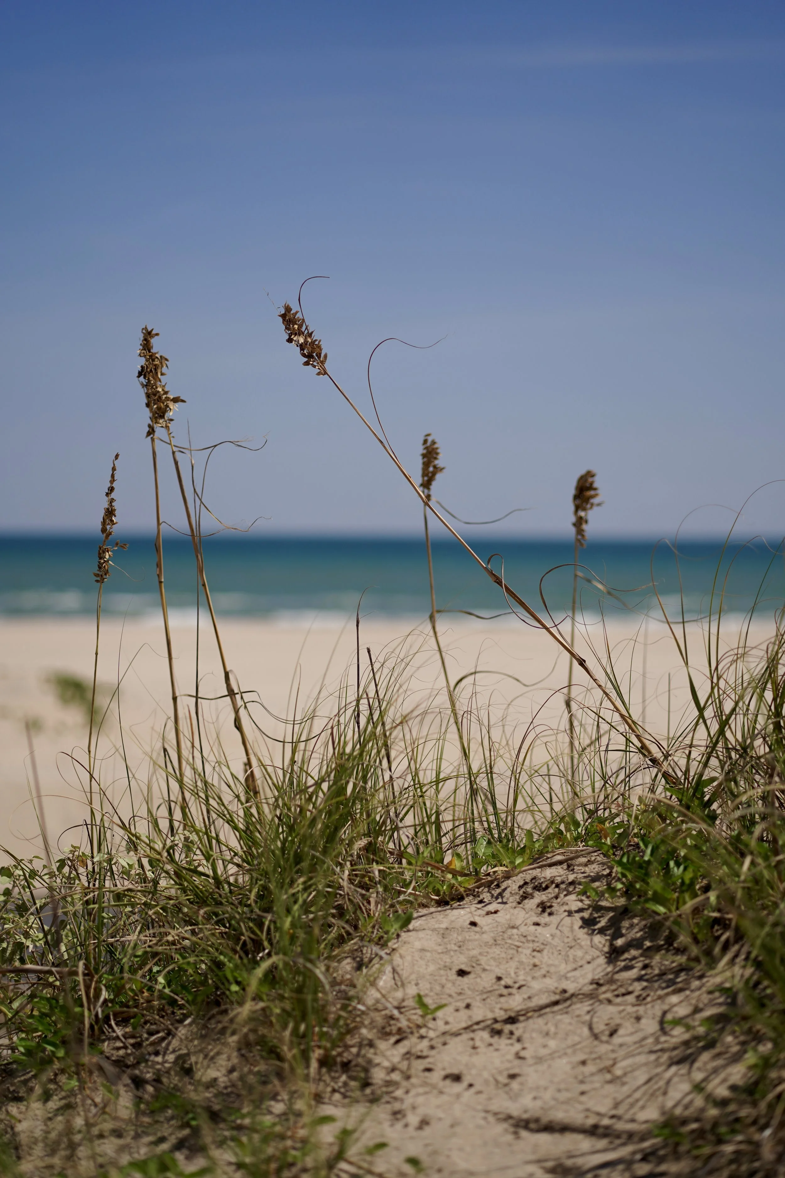 2025_09_27-SPI-End of the Road-Sunset-DSC03615.JPG