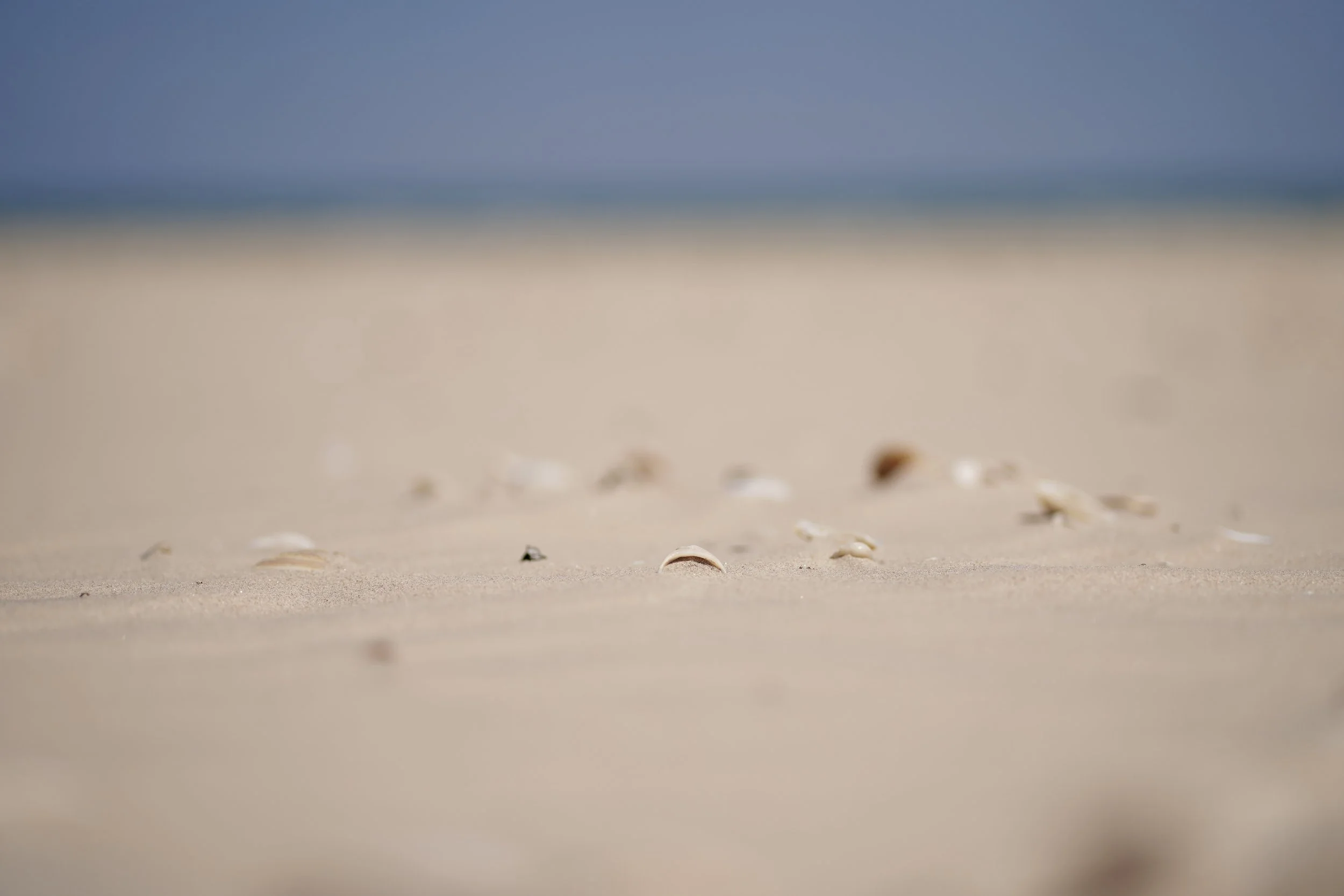 2025_09_27-SPI-End of the Road-Sunset-DSC03616.JPG