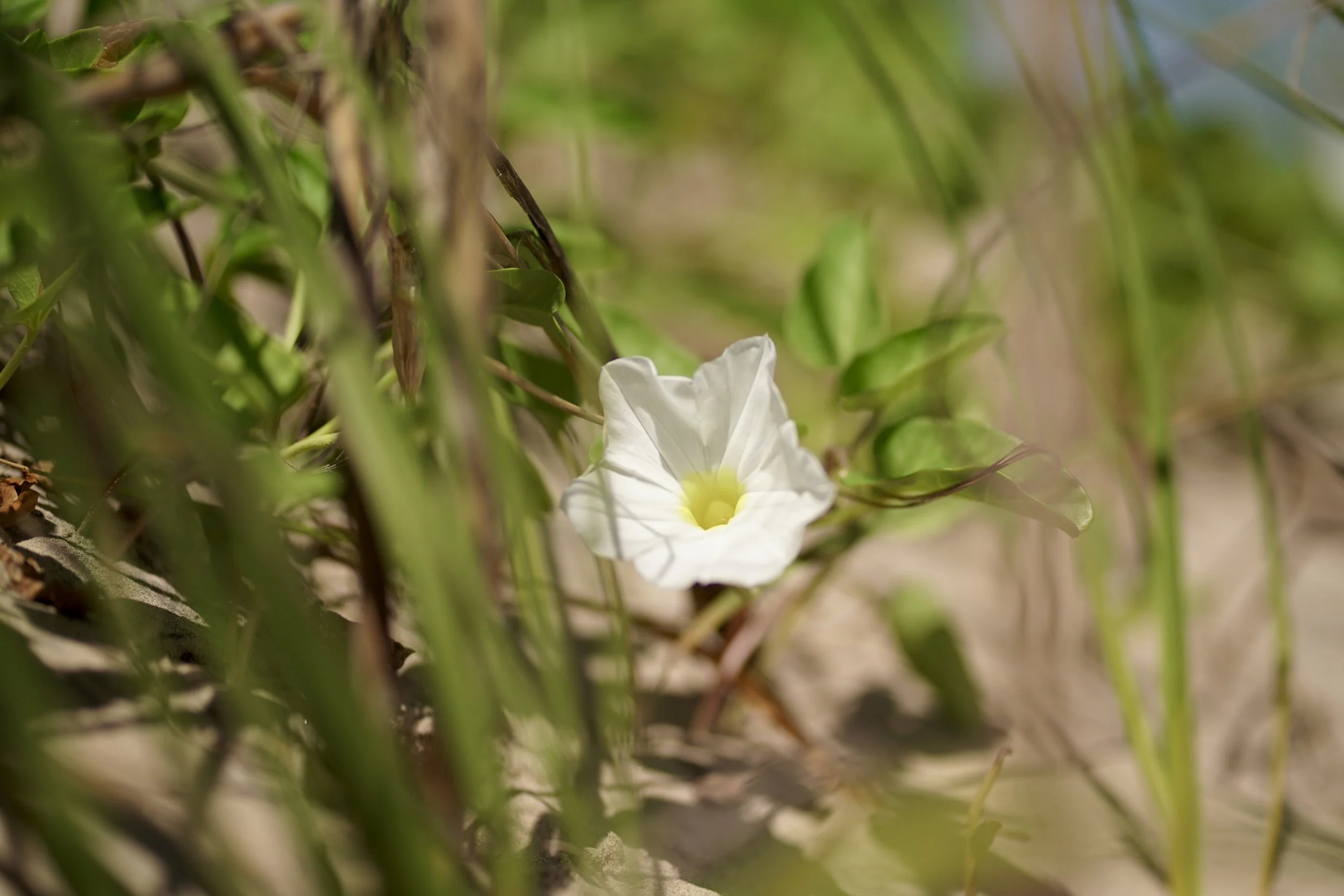 2025_09_27-SPI-End of the Road-Sunset-DSC03501.JPG