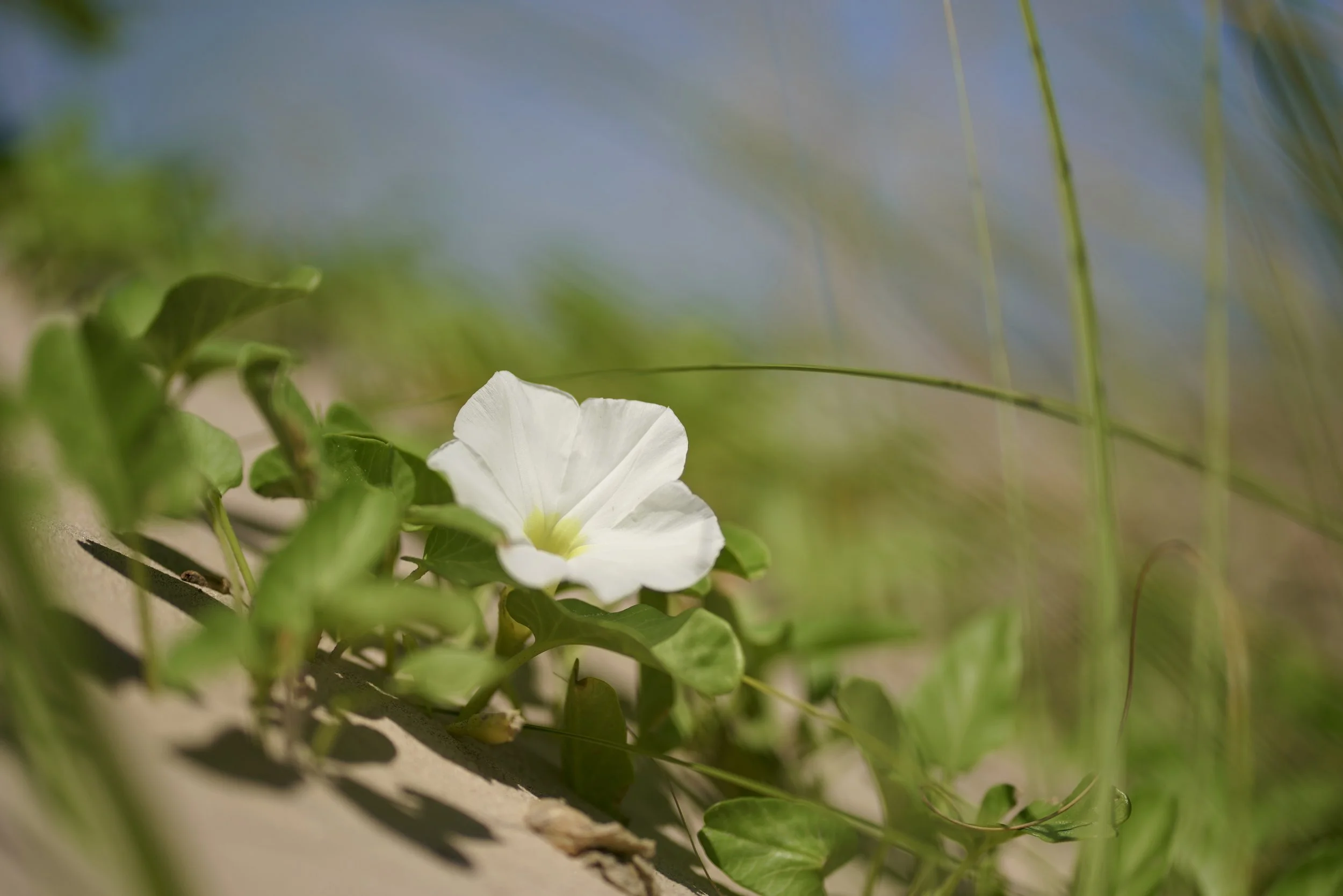 2025_09_27-SPI-End of the Road-Sunset-DSC03505.JPG