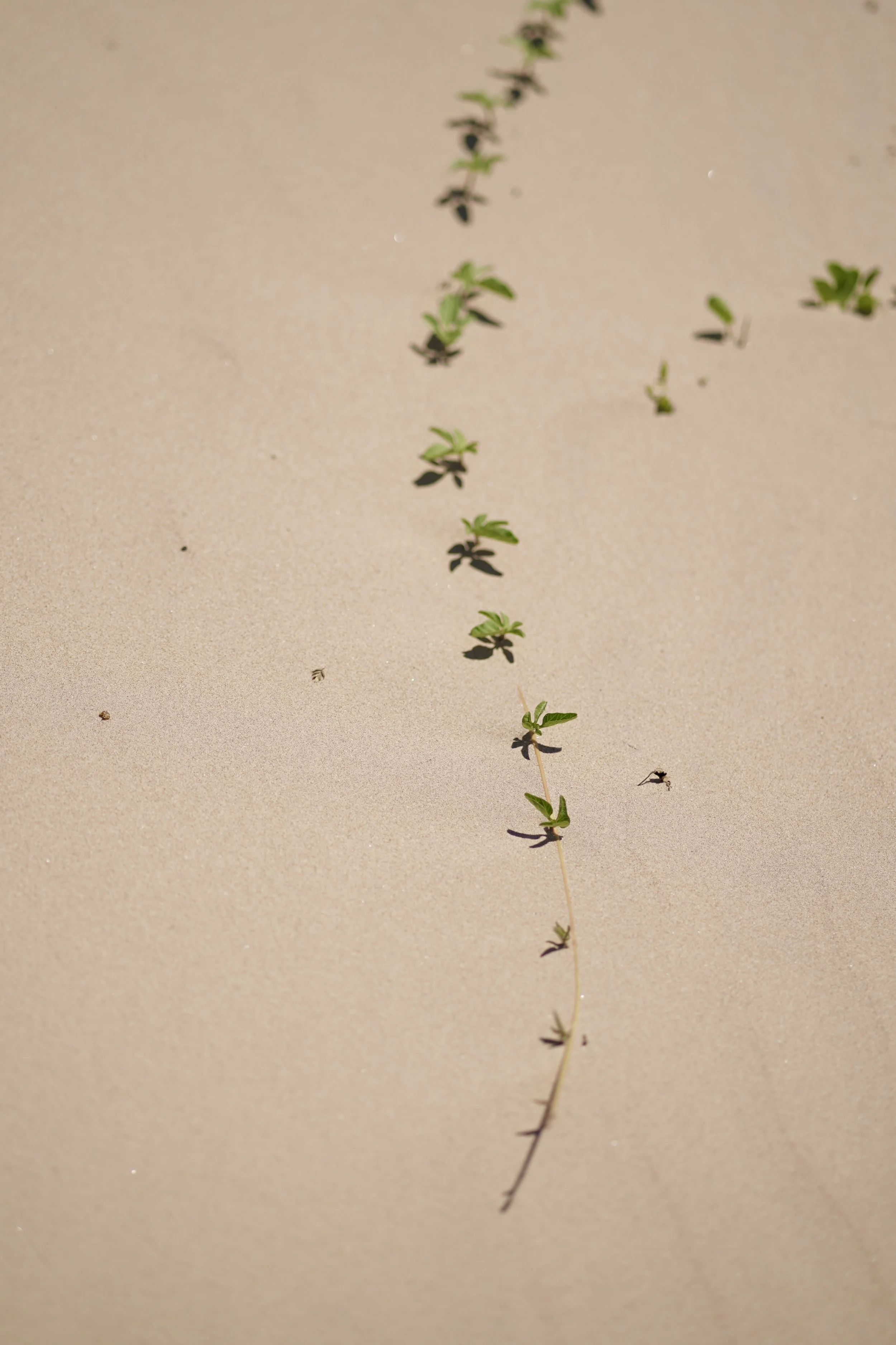 2025_09_27-SPI-End of the Road-Sunset-DSC03610.JPG