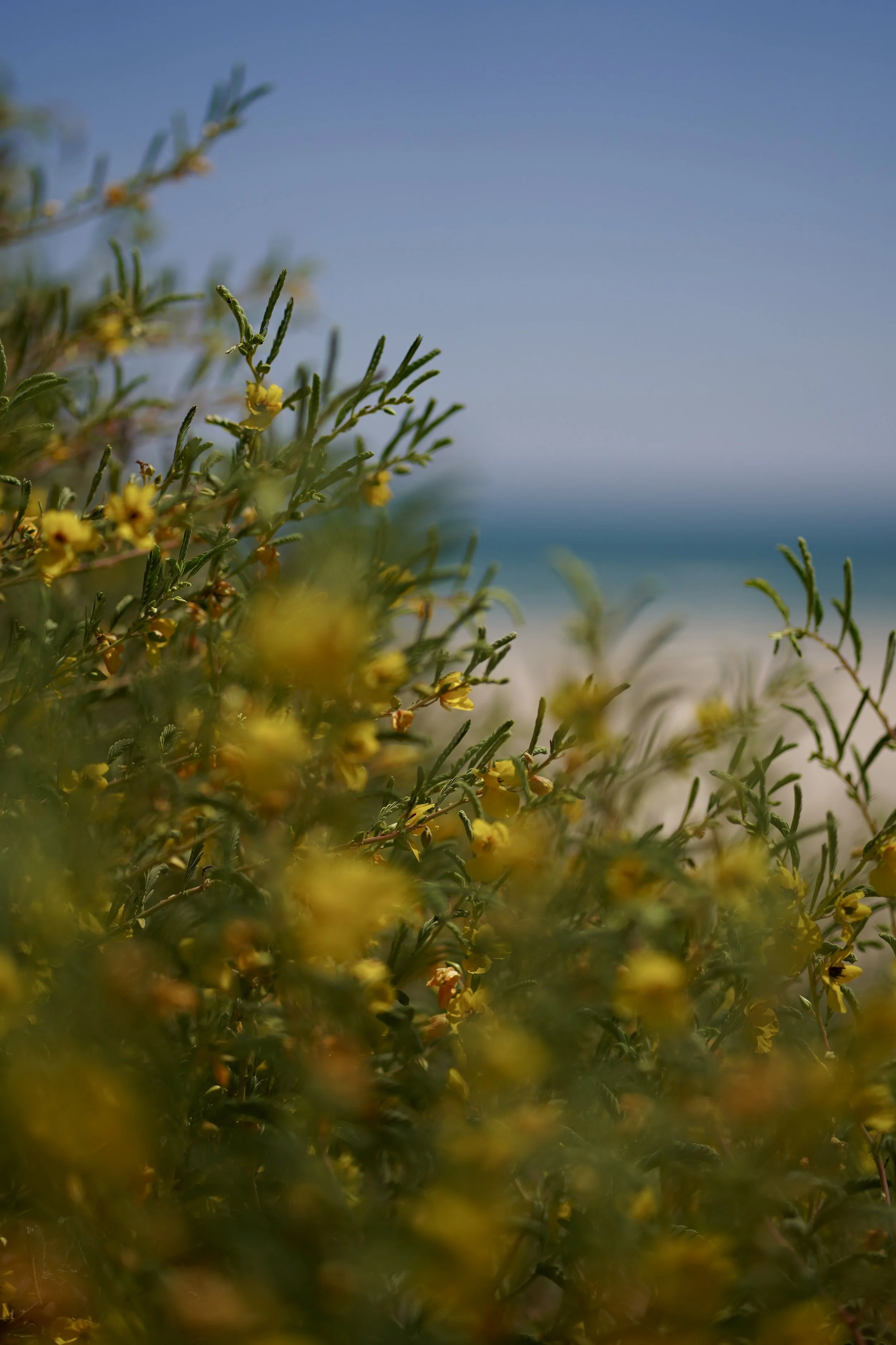 2025_09_27-SPI-End of the Road-Sunset-DSC03516.JPG