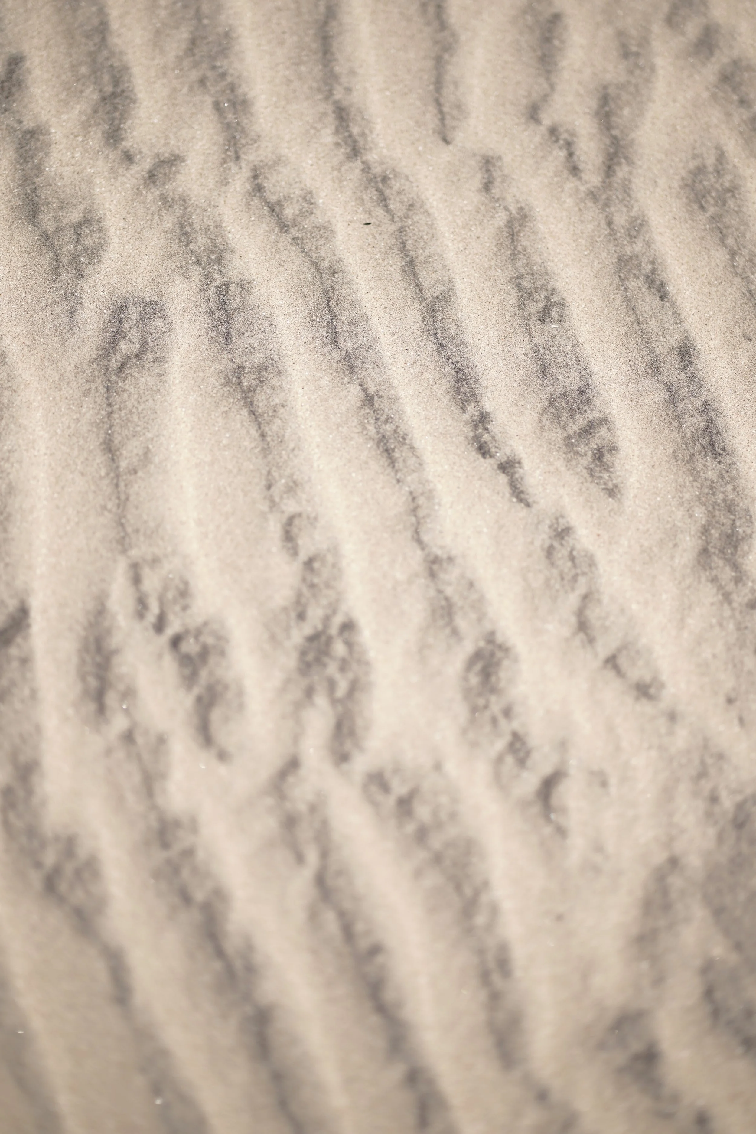 2025_09_27-SPI-End of the Road-Sunset-DSC03500.JPG