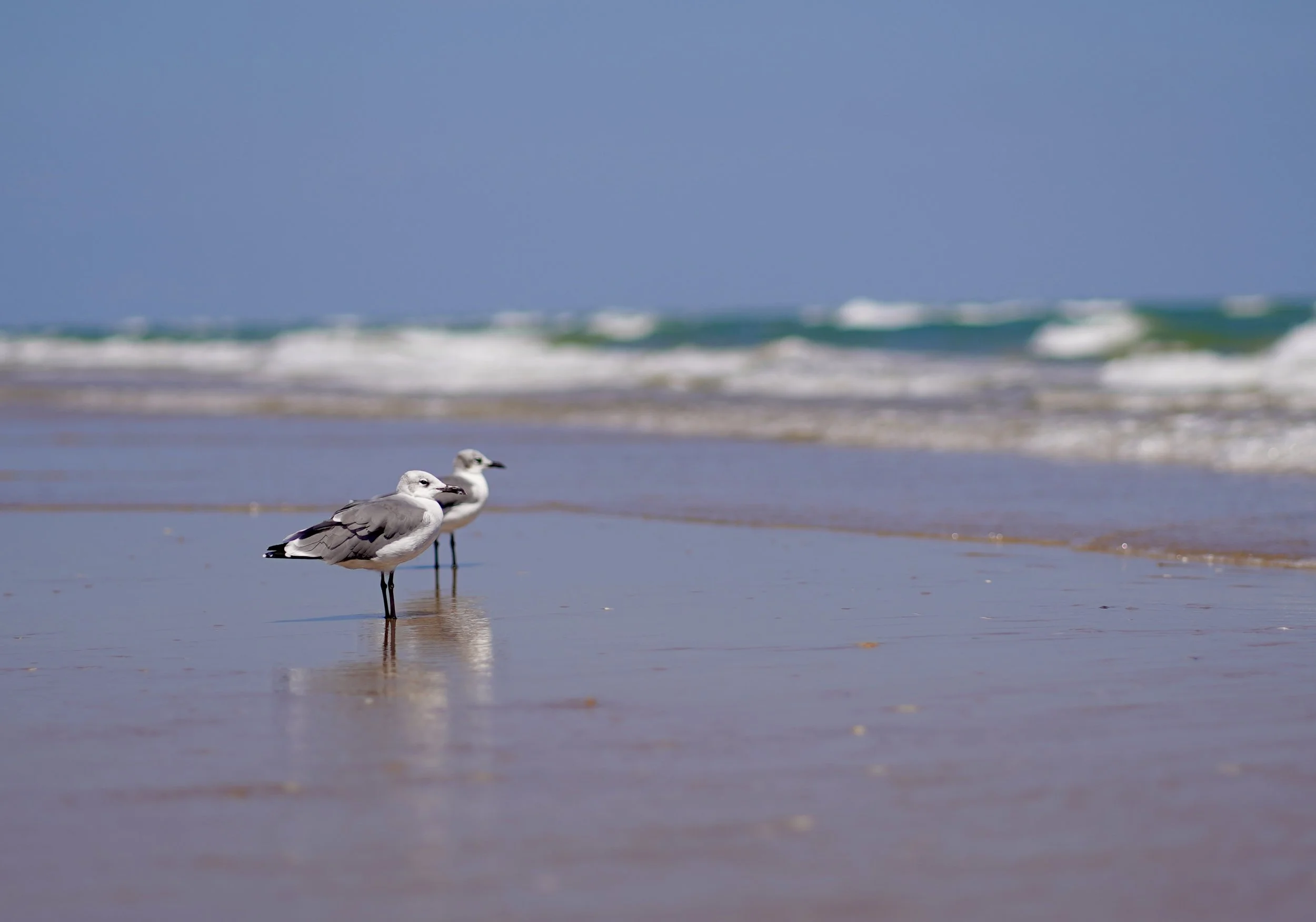 2025_09_27-SPI-End of the Road-Sunset-DSC03665.JPG