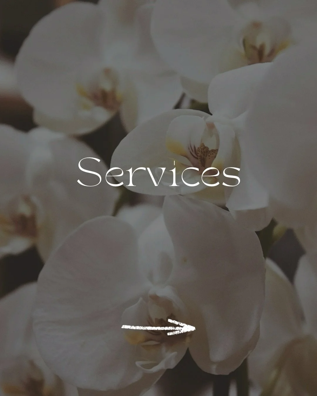 SERVICES 📲💻 

All are monthly packages. After meeting to discuss your needs, style, and goals&hellip; it will be time to create and share! 

Ready to get started? Submit a form on the website or send a direct message.