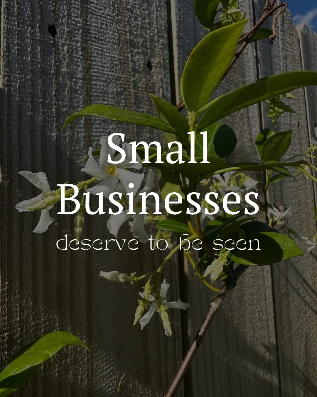 Small businesses deserve to be seen! Let&rsquo;s team up to make yours shine ✨ 

#socialmediamanagement #smallbusiness #websitedesign #smallbusinesssupport #socialmediamarketing