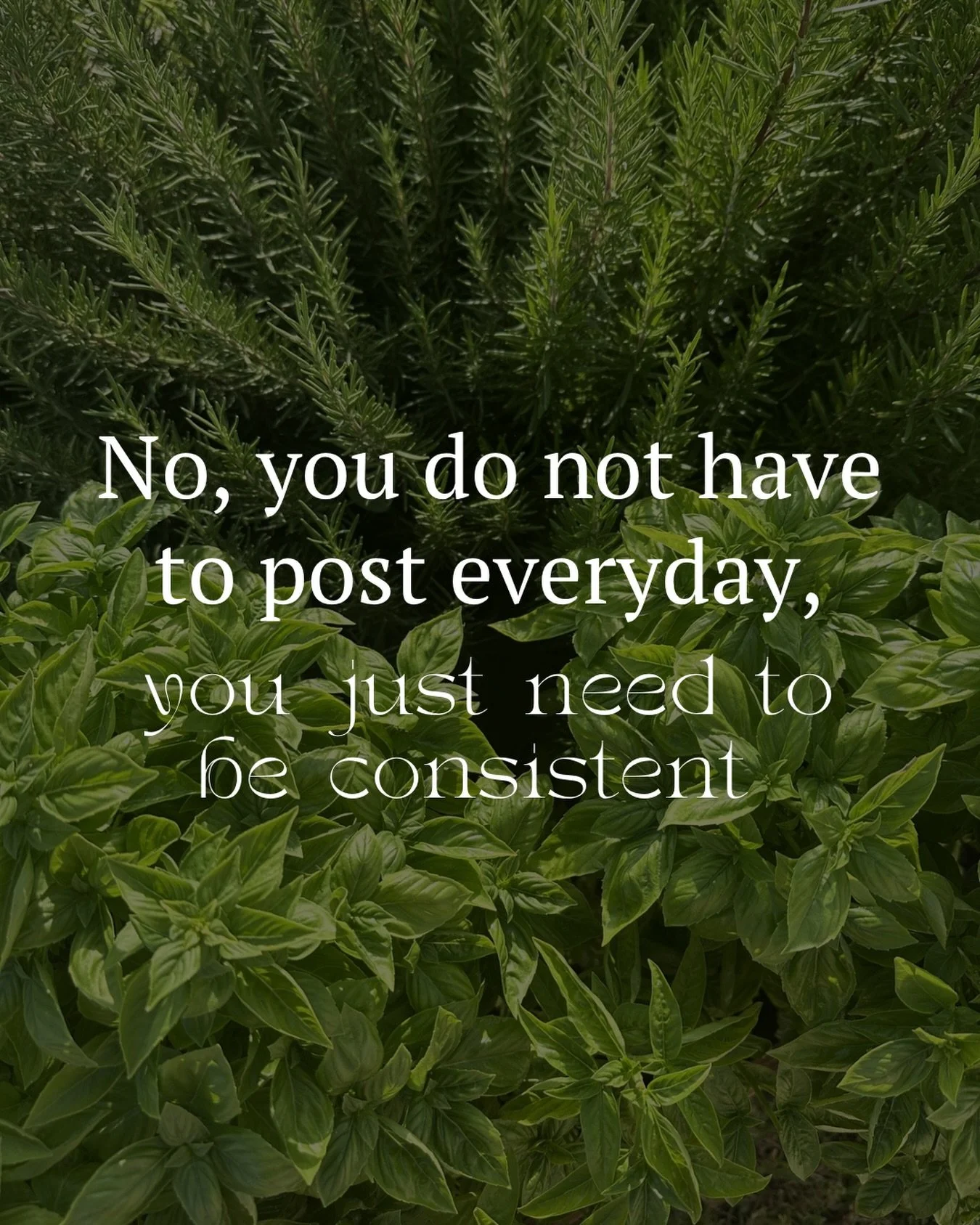 You don&rsquo;t need to post every day to grow. You just need purpose and consistency. 

Let&rsquo;s work together to make a plan 📲

#socialmediamanagement #websitedesign #socialmediamarketing #postwithapurpose