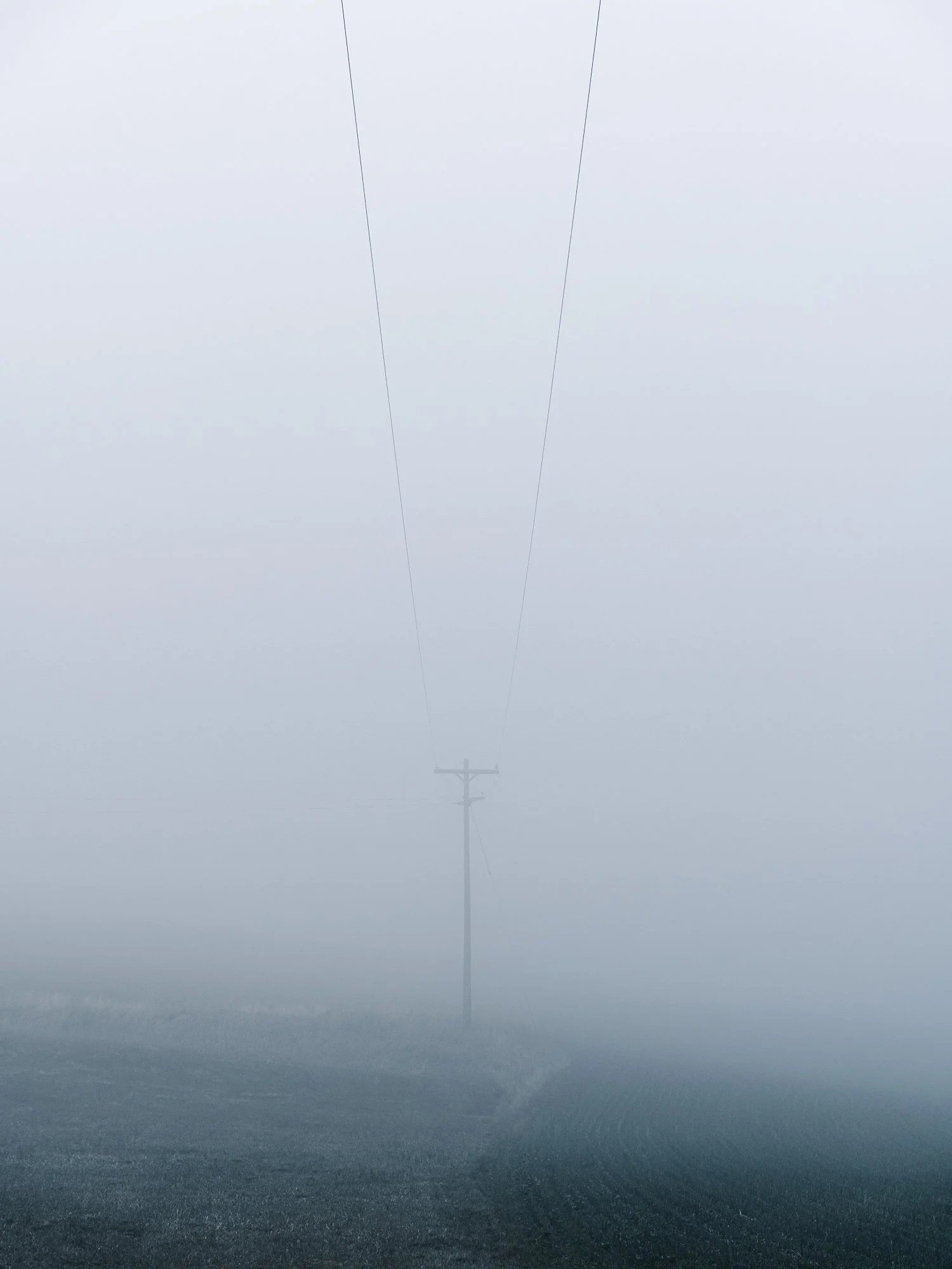 A foggy landscape with a power line pole and cables disappearing into the fog over field.