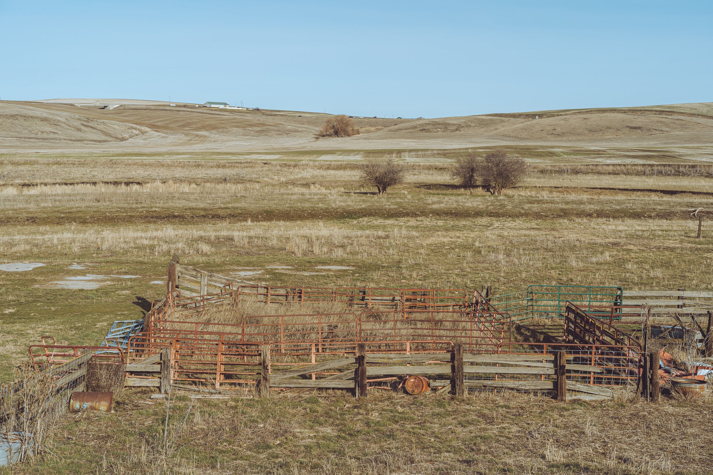 Rusty and weathered metal farm pens in a grassy field, with rolling hills and a few scattered trees in the background, under a clear blue sky.