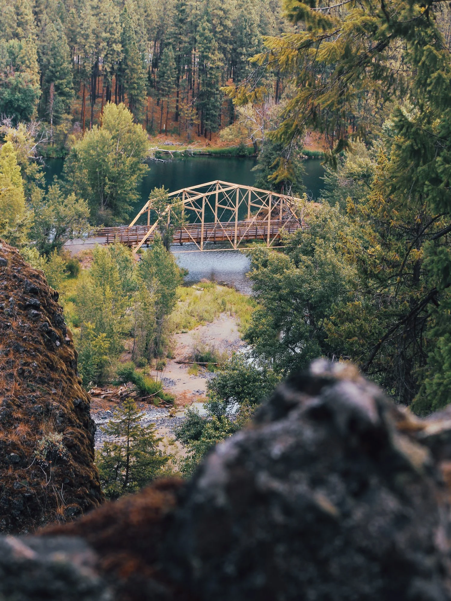 A scenic view of a wooden bridge over a river in a forested area with tall trees and lush greenery.