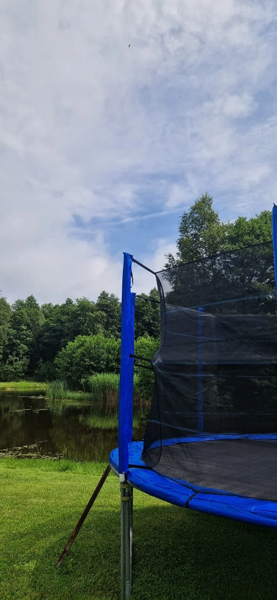 A trampoline with a blue safety pad and black safety netting on a grassy area near a pond, with trees and cloudy sky in the background.