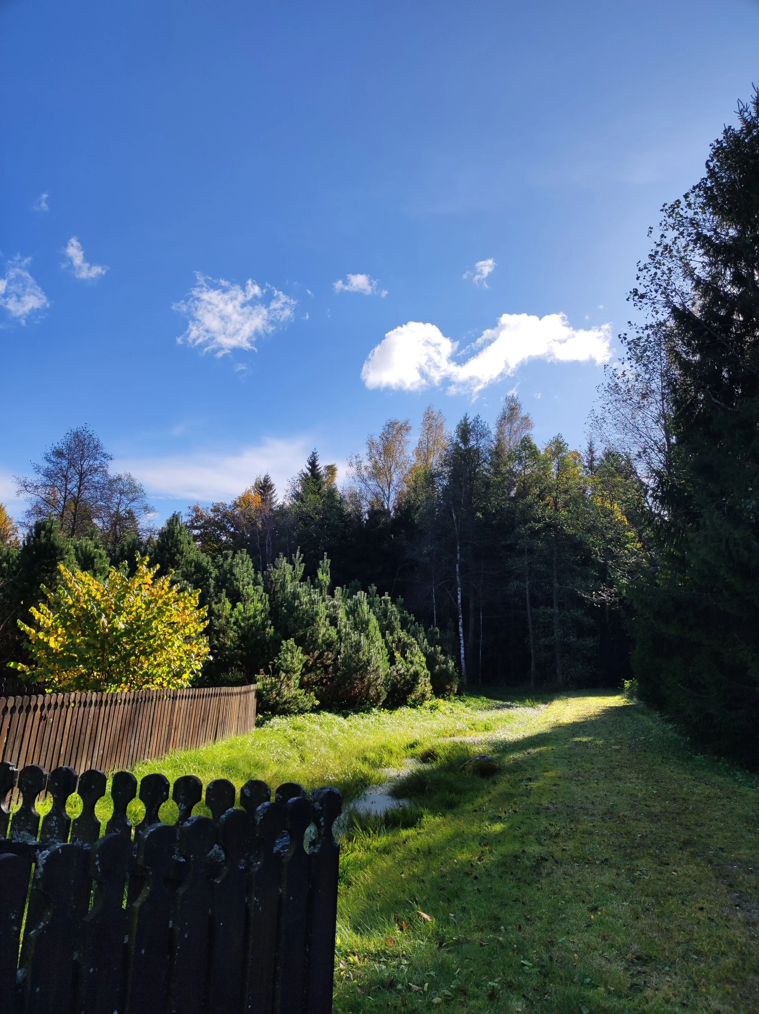 A serene outdoor scene with a blue sky, scattered white clouds, and lush green trees and grass, with a wooden fence on the left side and a small stream on the ground.
