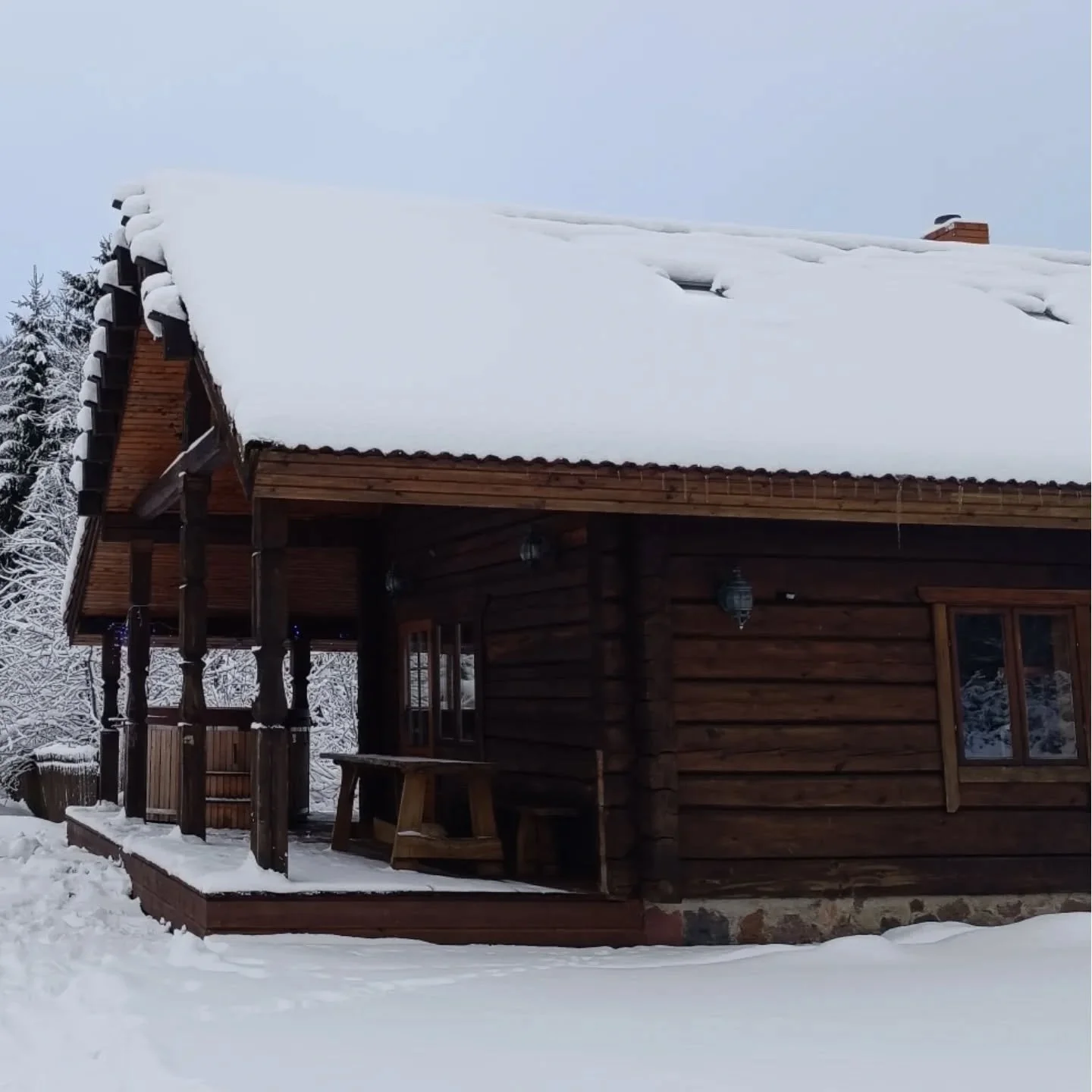 Žiemos pasaka Judupi❄️