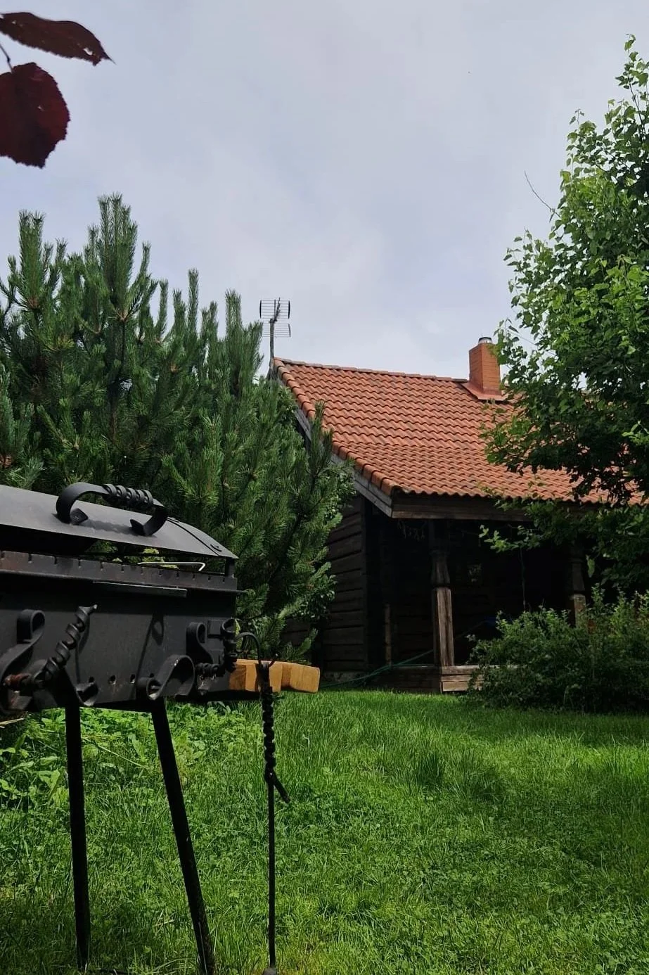 Green lawn with tall trees and a house with a red-tiled roof in the background. A black smoker grill is in the foreground on the grass.