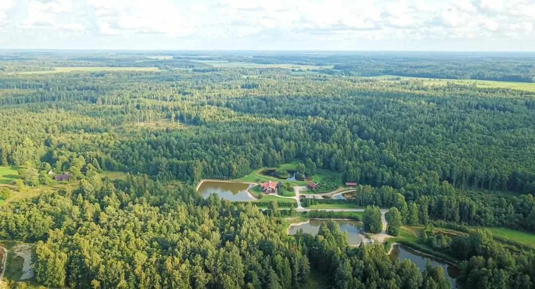 Aerial view of a rural landscape with dense green forest, small lakes, and a few buildings.