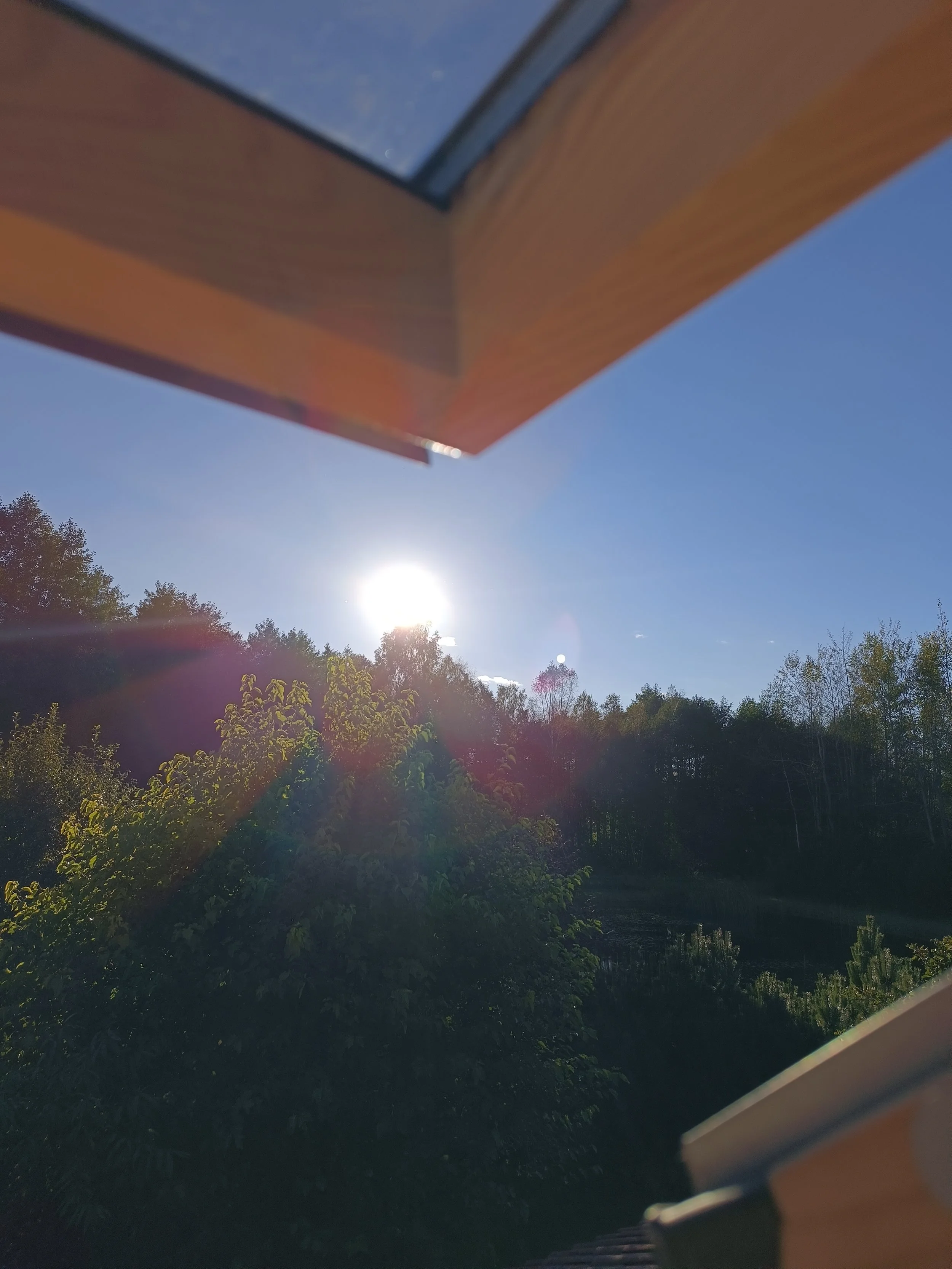 Sunset over a lush green forest seen from a window with orange framing and a blue sky.
