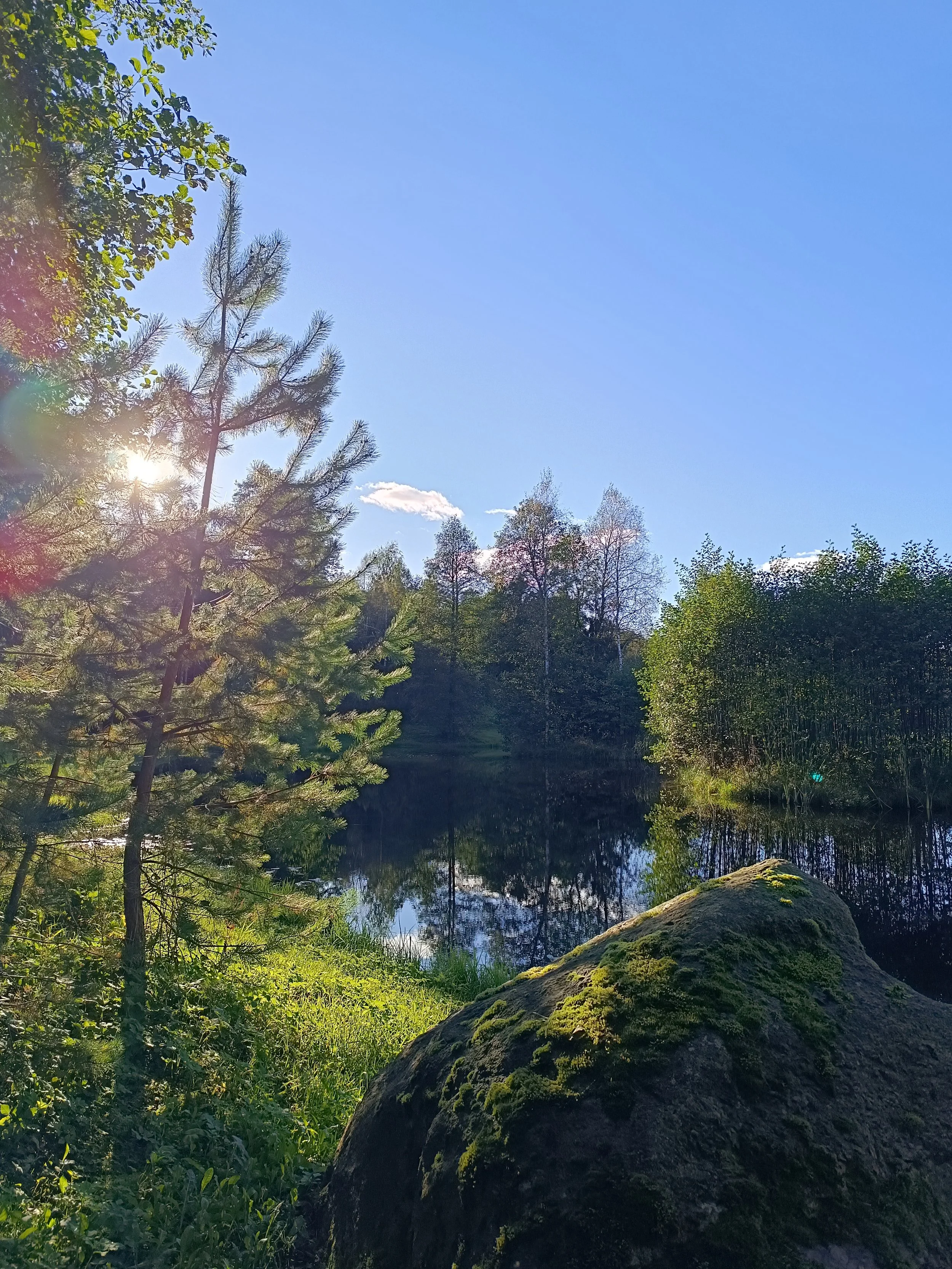 A peaceful lakeside scene with pine and deciduous trees, a moss-covered rock in the foreground, and a bright blue sky with sunlight filtering through the trees.