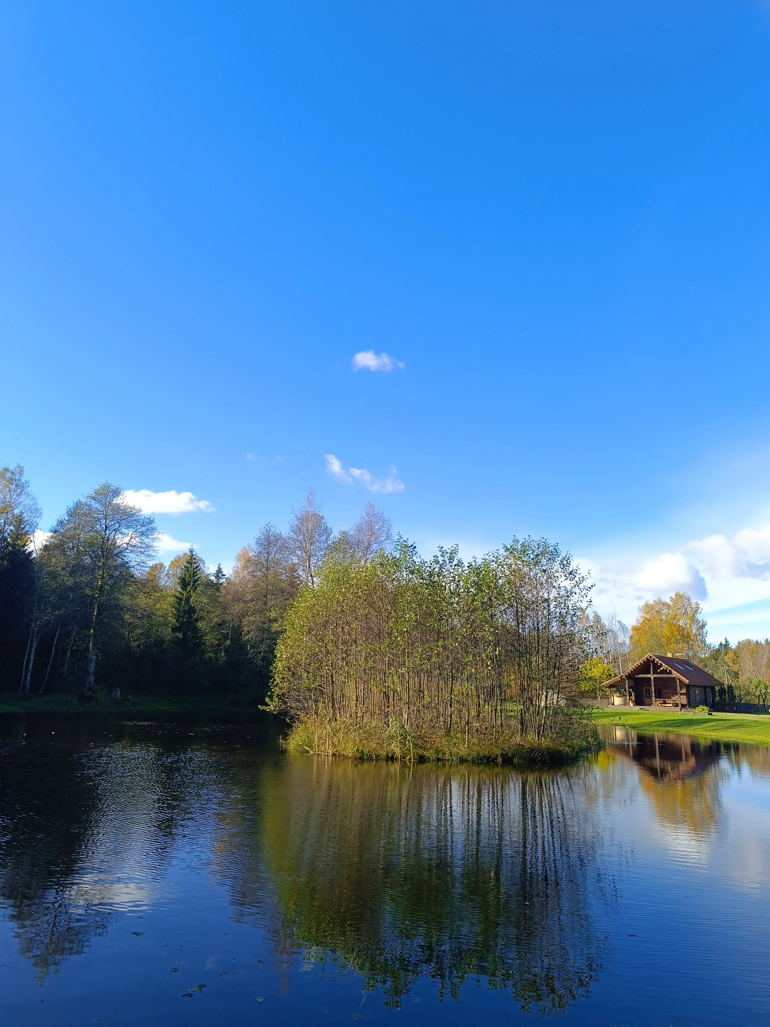 A peaceful lakeside scene with a clear blue sky, calm water reflecting trees and a small wooden cabin.