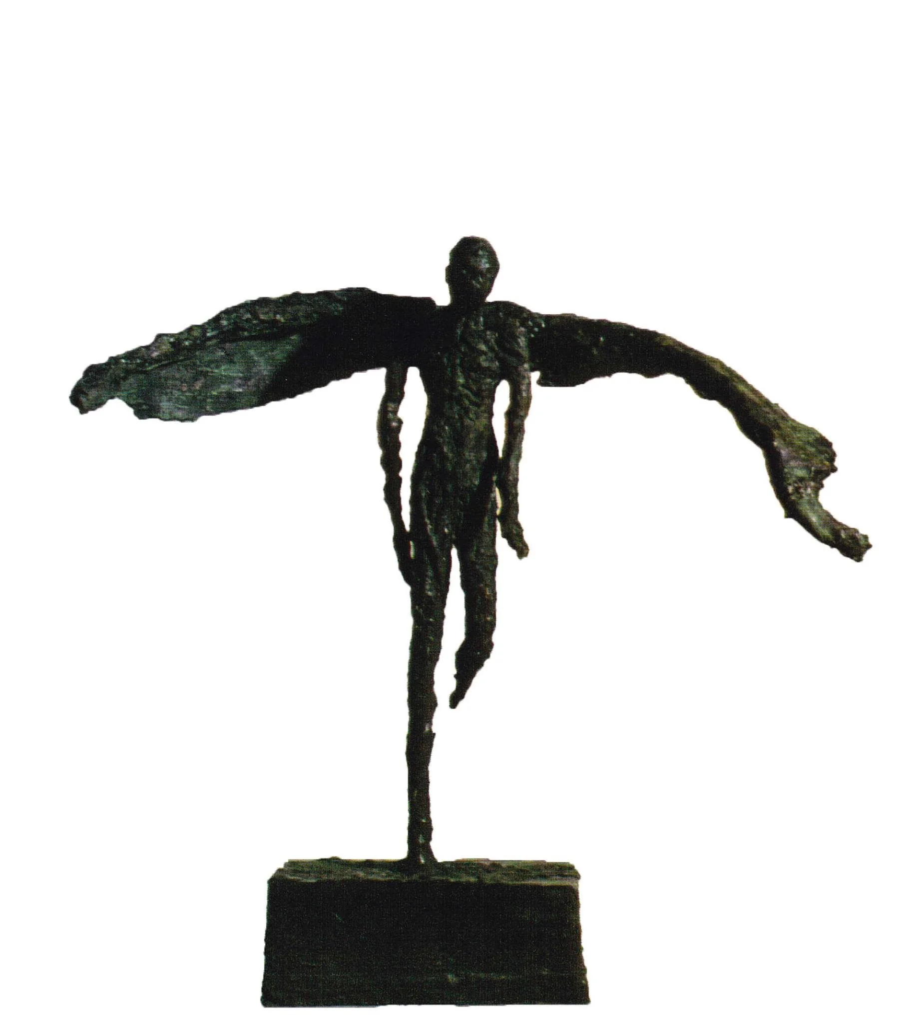Flight of Fancy